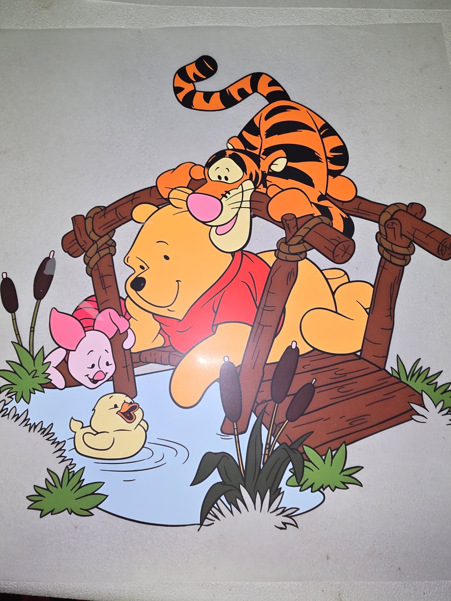 Heat Transfer - Winnie the Pooh