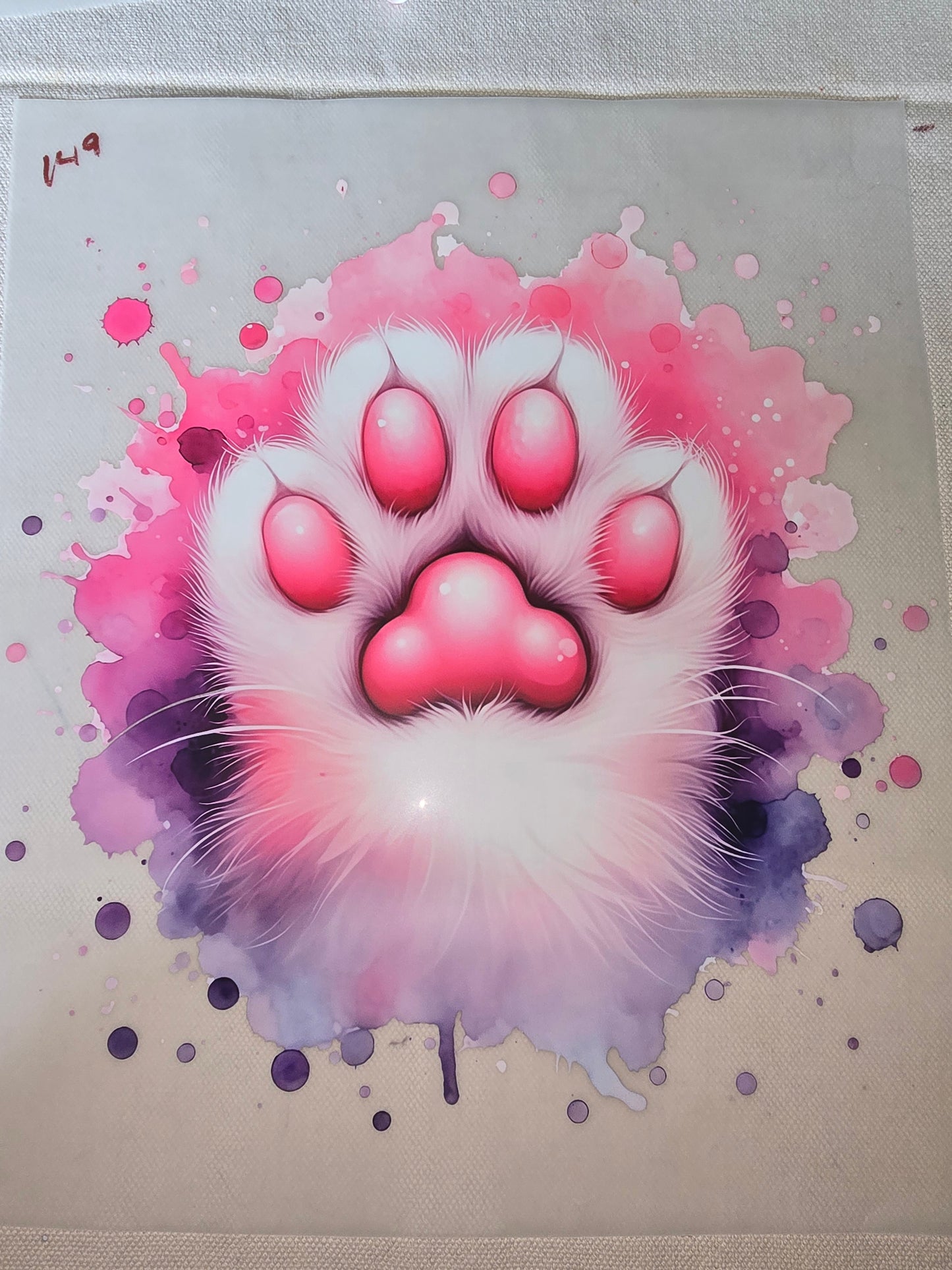 Heat Transfer - Dogs, Cats