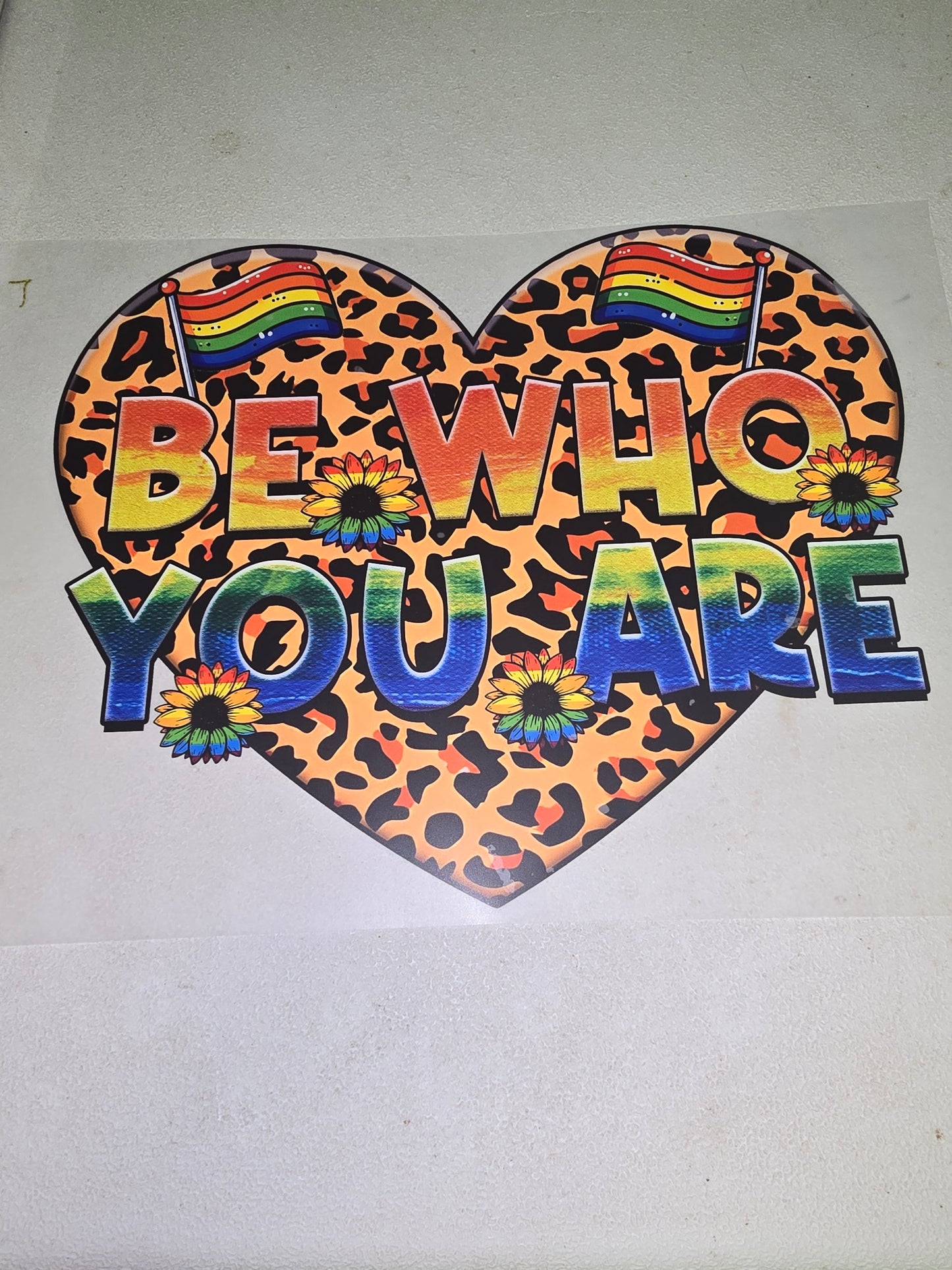 Heat Transfer - Pride
