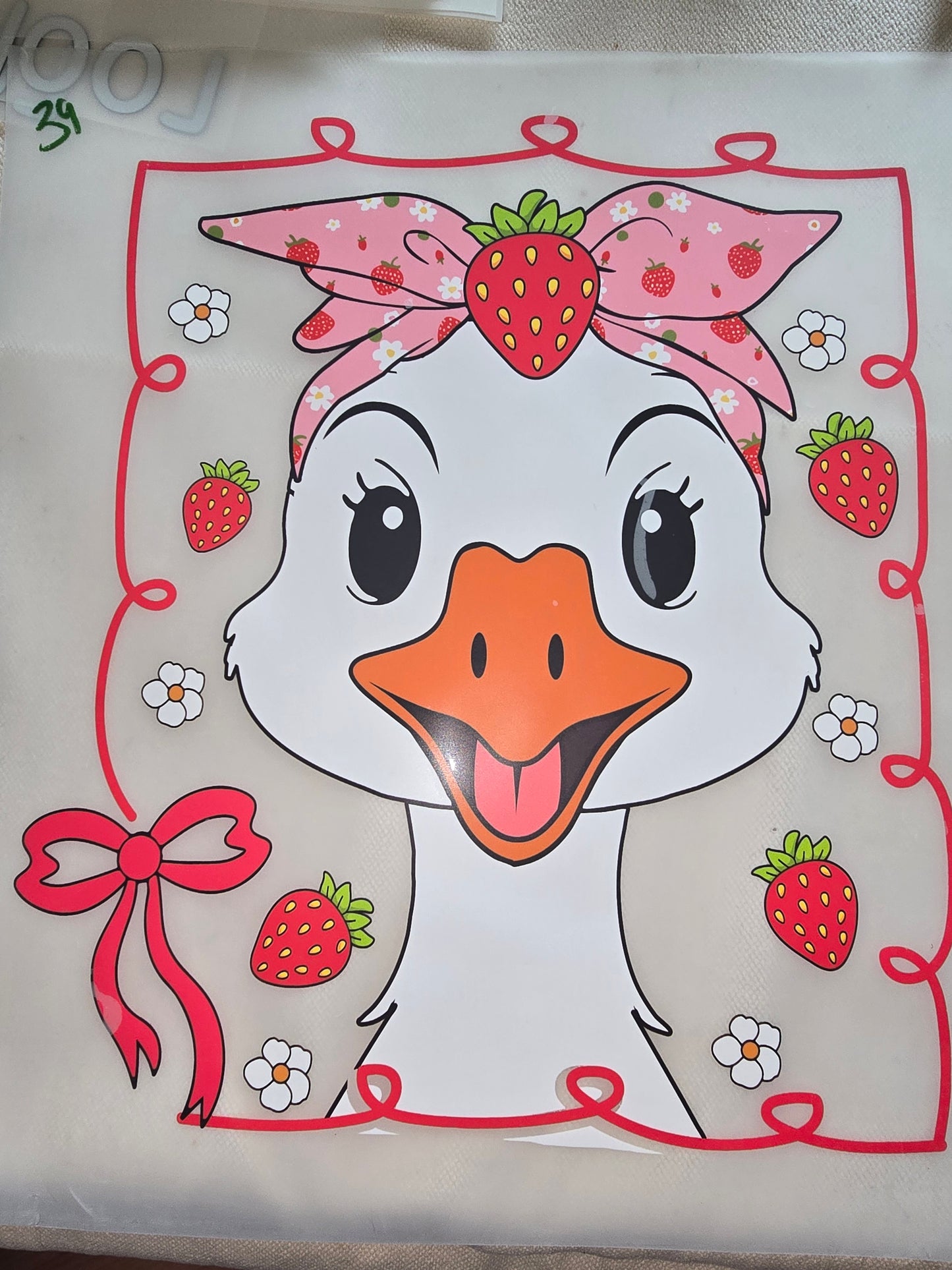 Heat Transfer - Chicken and other feathered friends