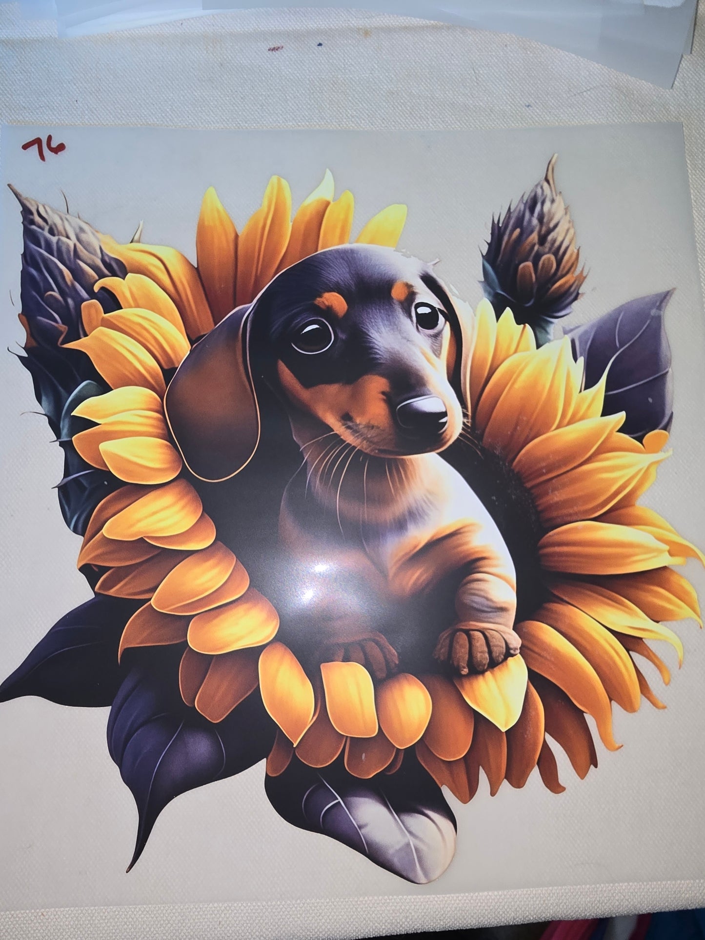 Heat Transfer - Dogs, Cats
