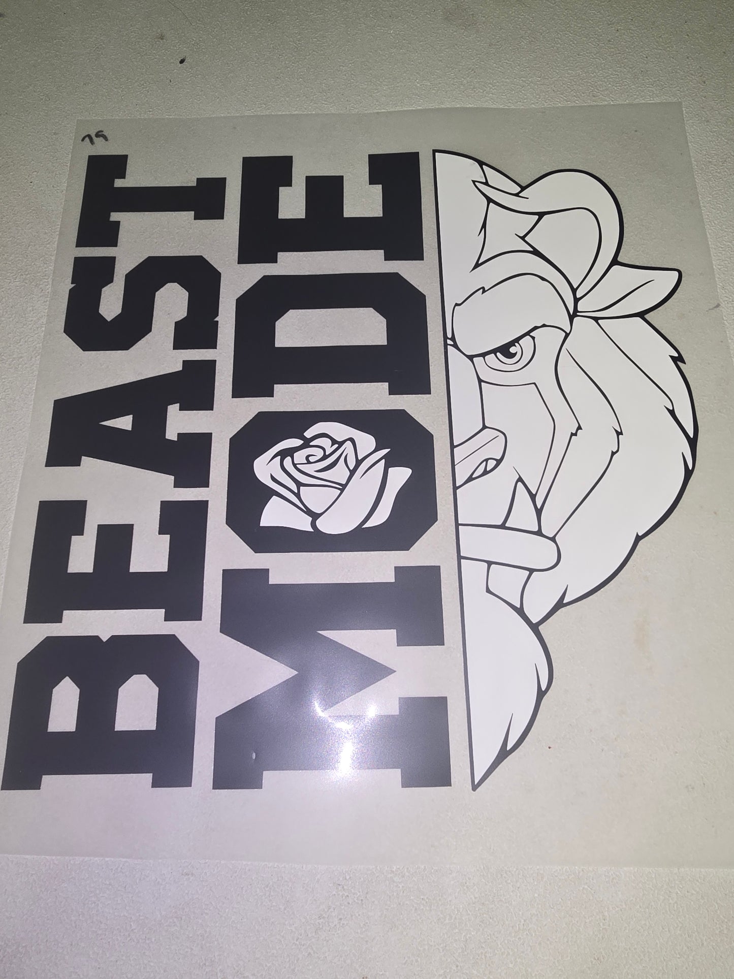 Heat Transfer - Disney