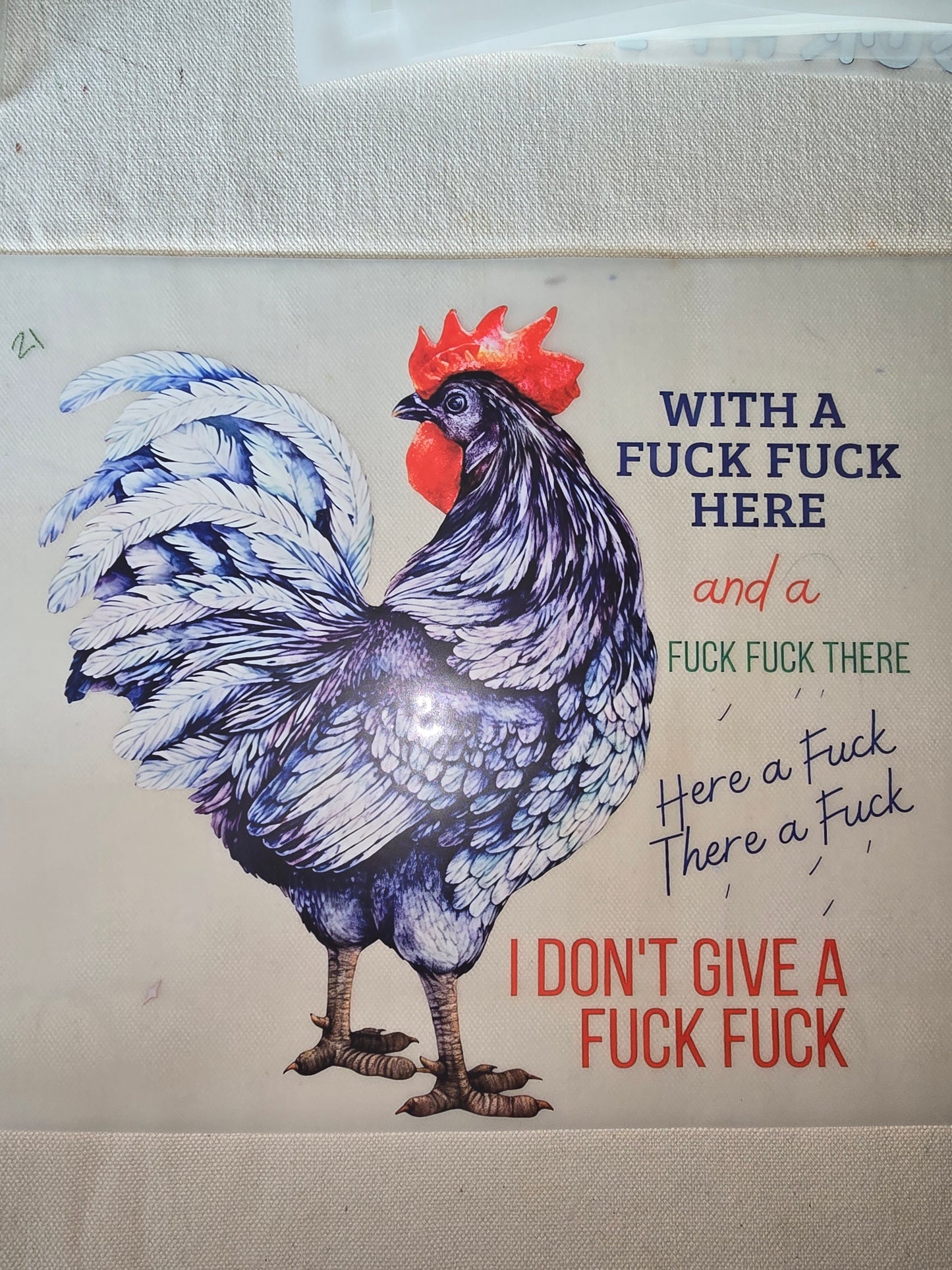 Heat Transfer - Chicken and other feathered friends