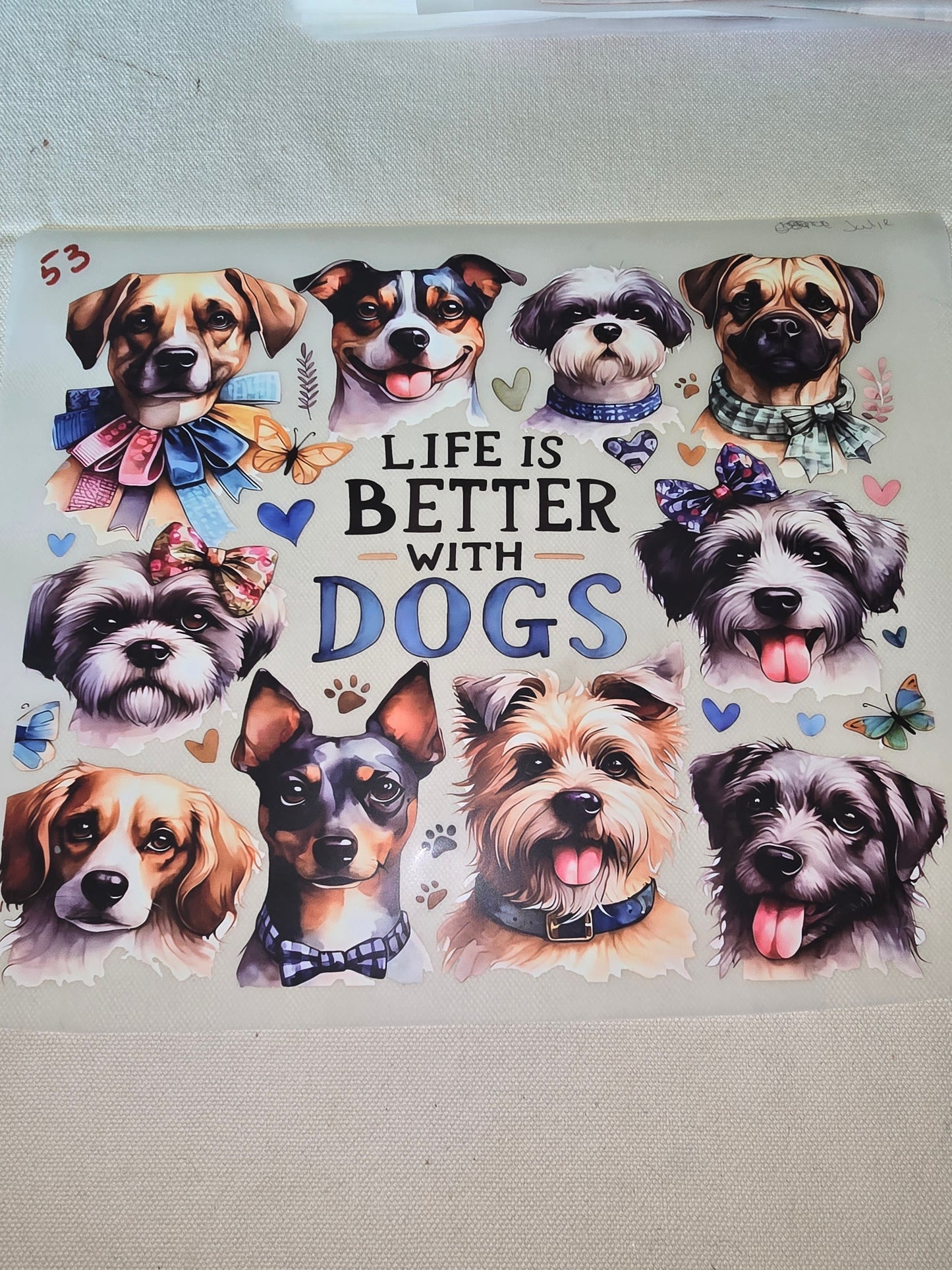 Heat Transfer - Dogs, Cats