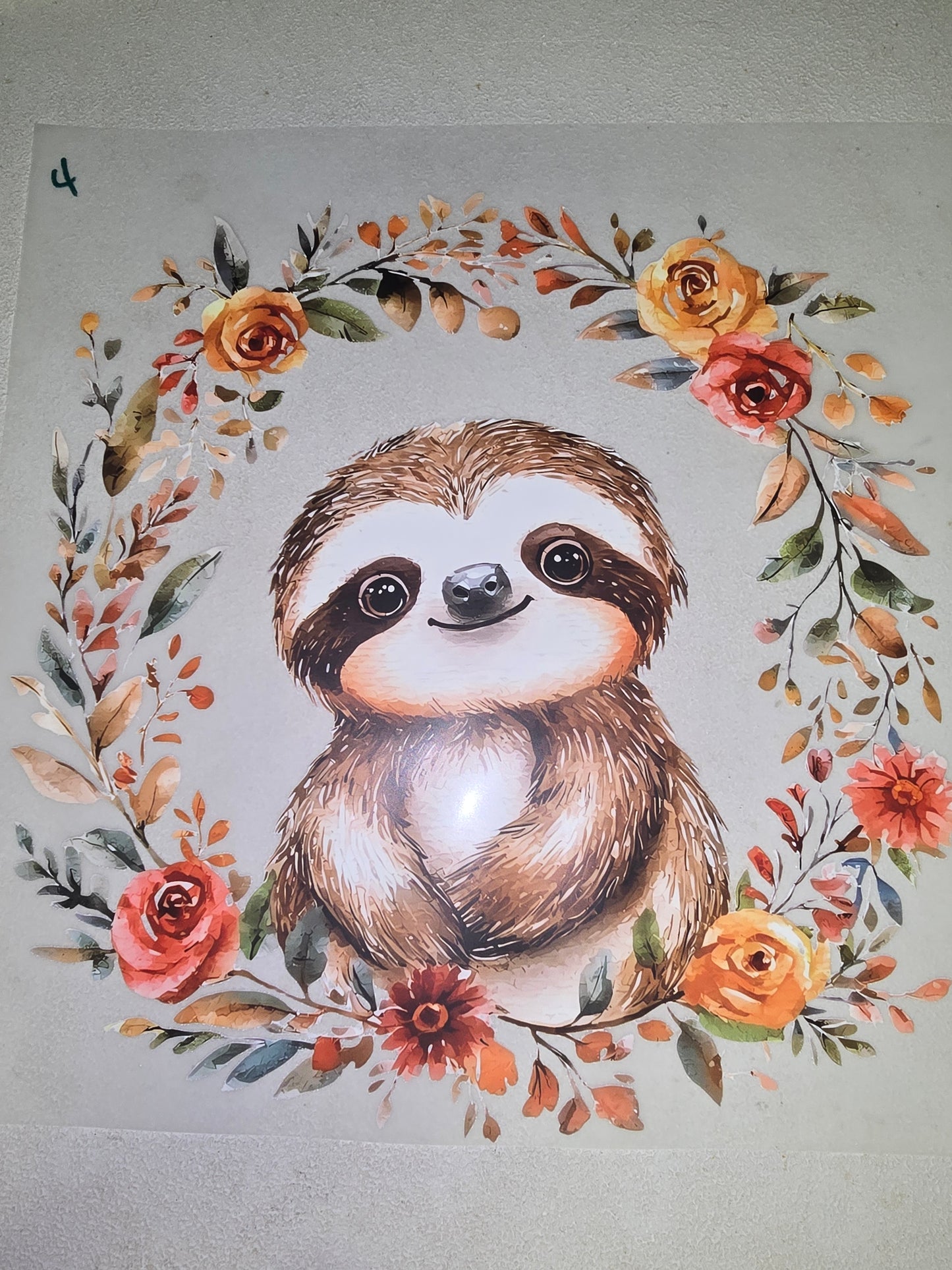 Heat Transfer - Sloths