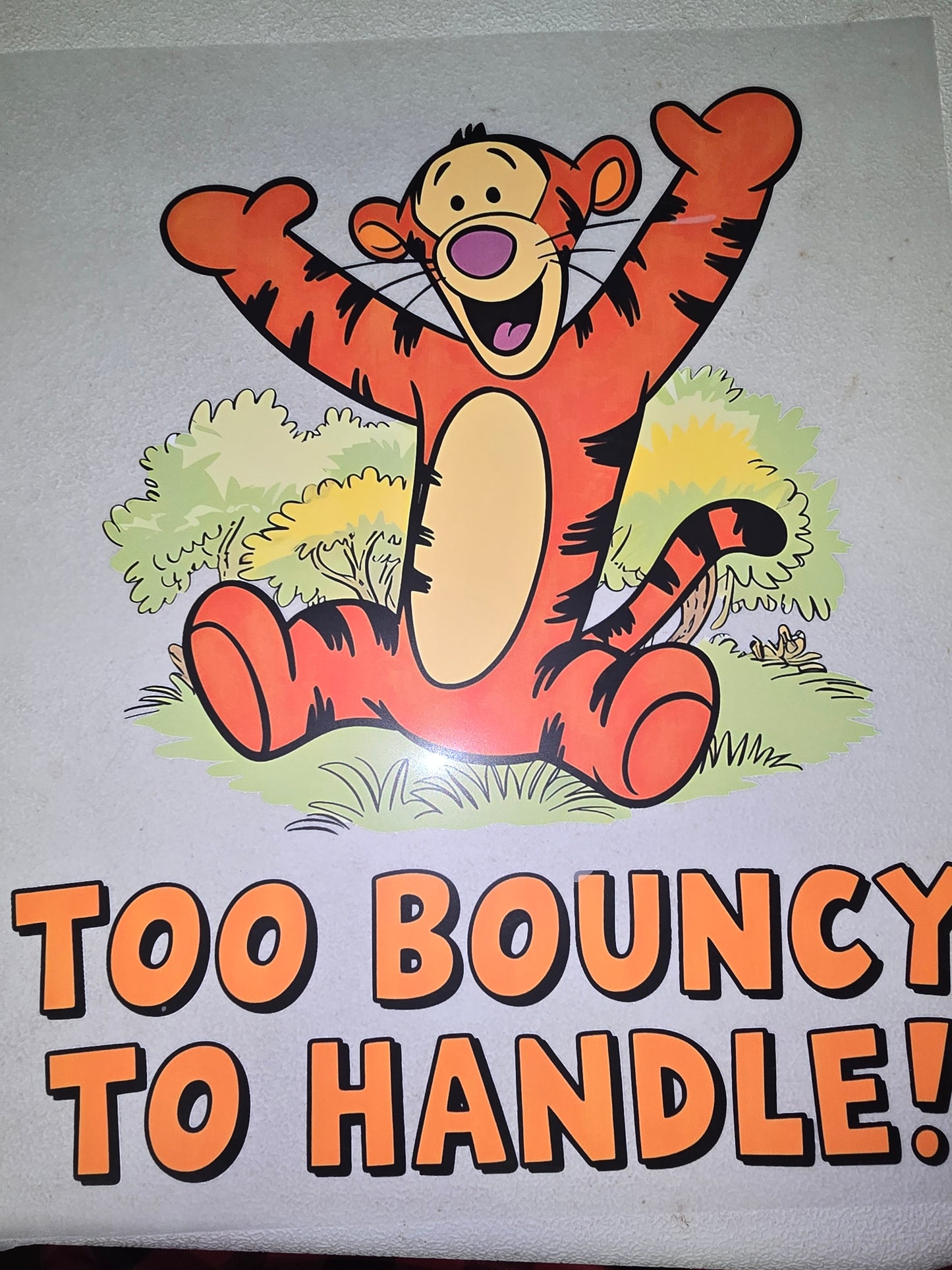 Heat Transfer - Winnie the Pooh