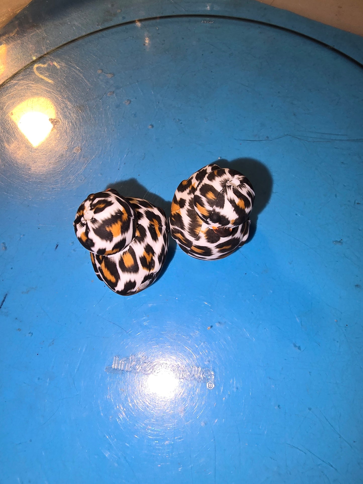 Silicone Focals Animals