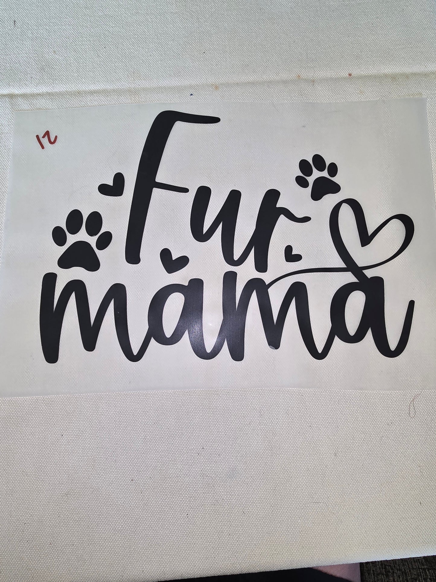 Heat Transfer - Dogs, Cats