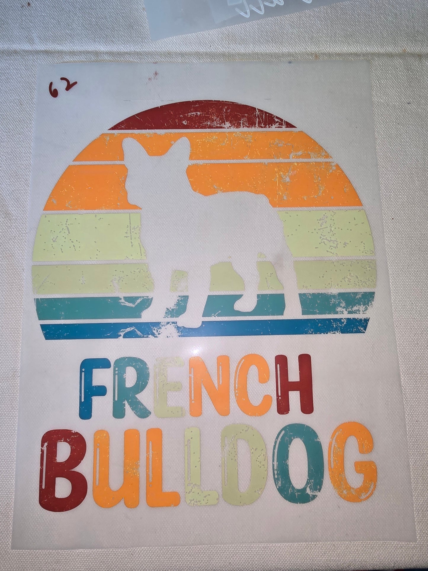 Heat Transfer - Dogs, Cats