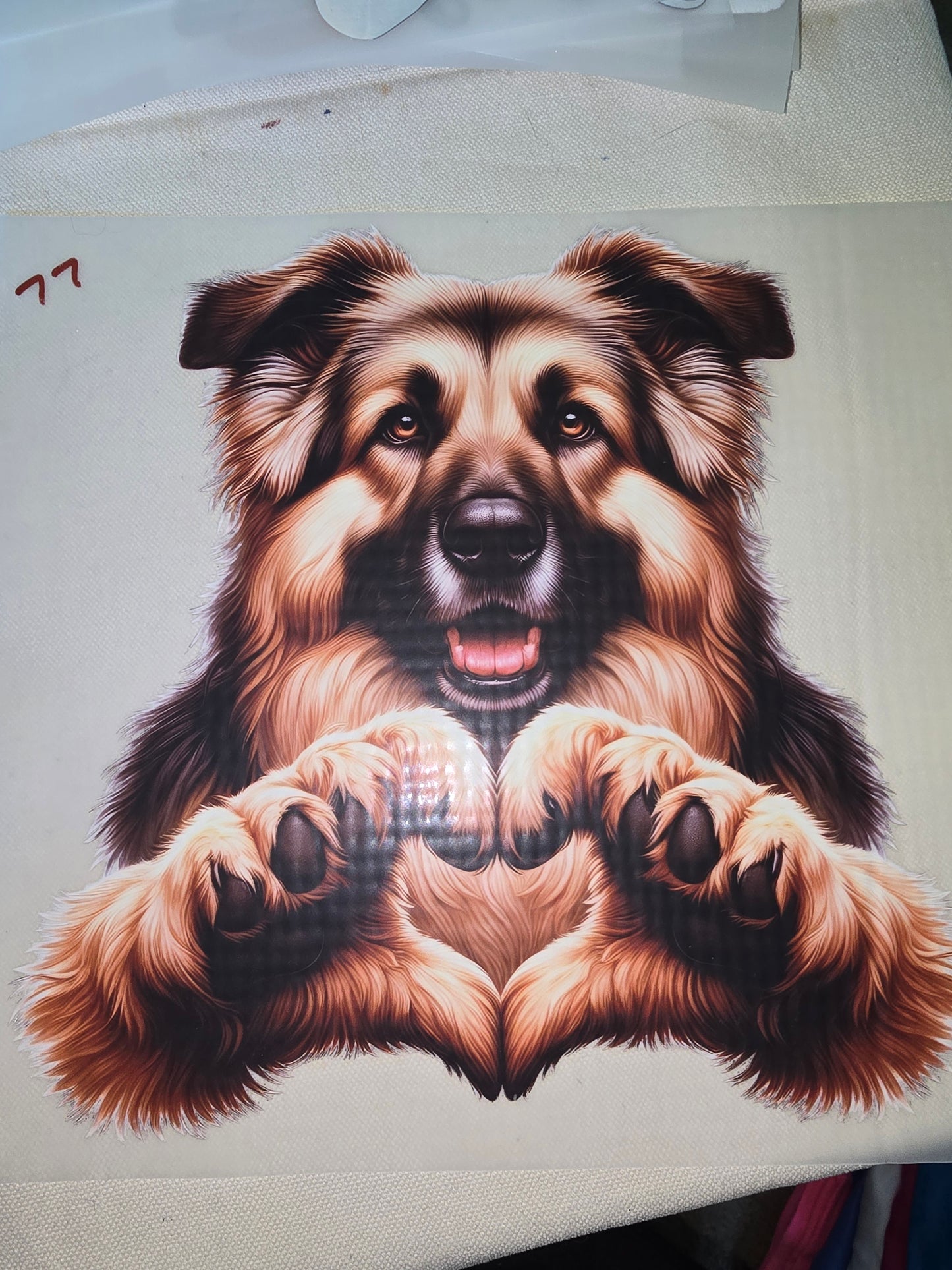 Heat Transfer - Dogs, Cats