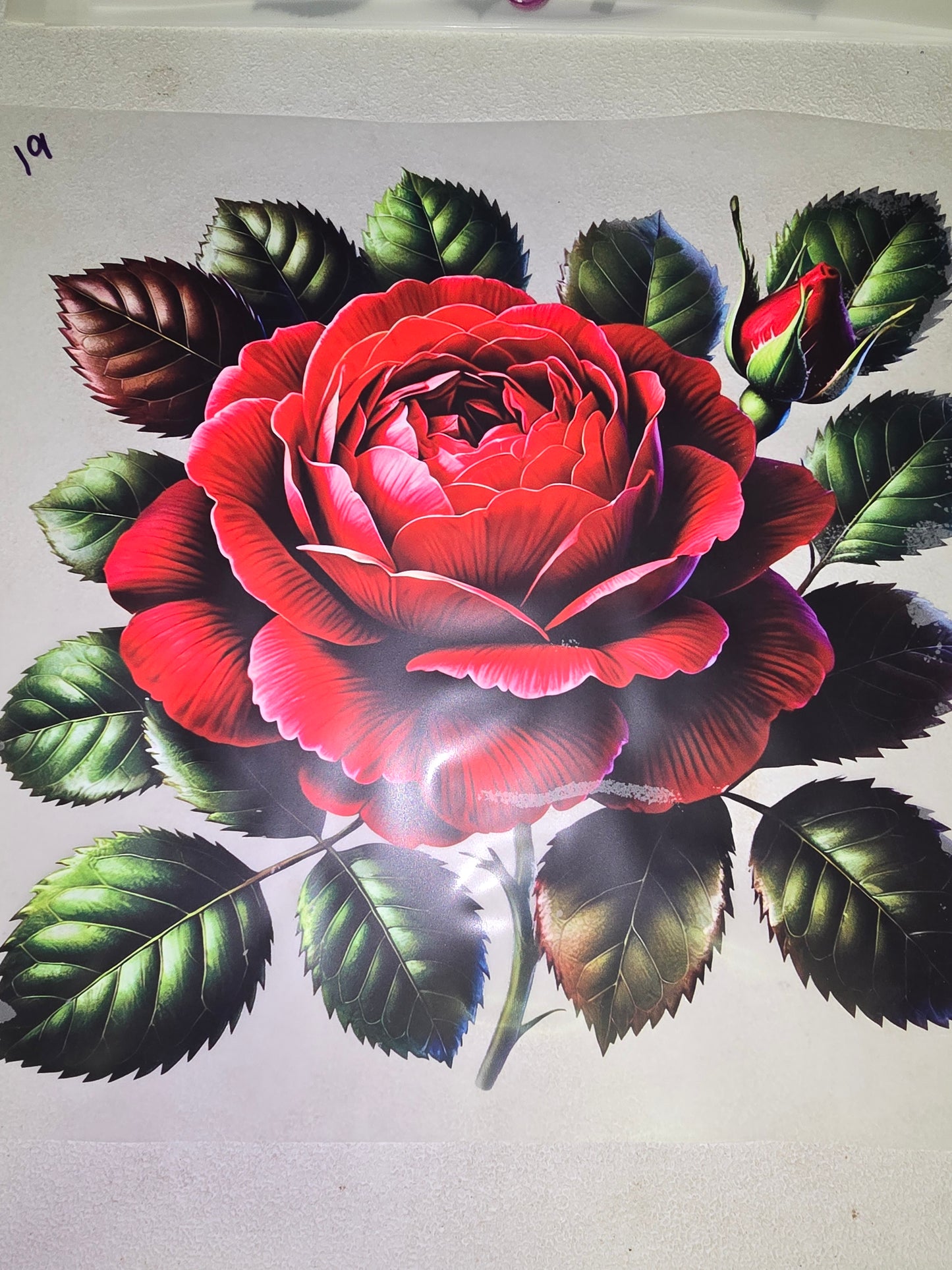 Heat Transfer - Heart, Bow, Flowers, Gnomes, Dreamcatchers, Moons