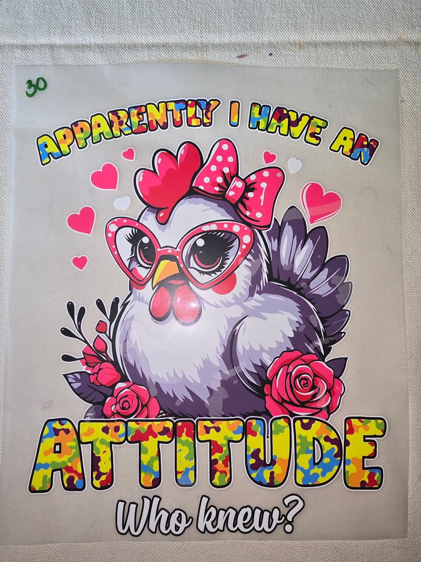 Heat Transfer - Chicken and other feathered friends