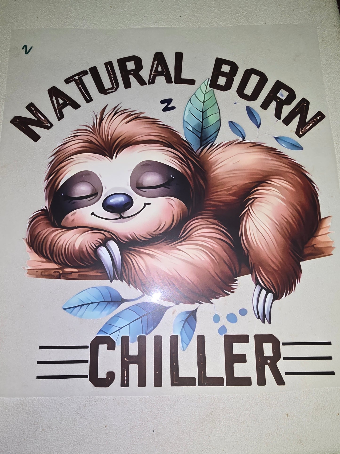 Heat Transfer - Sloths