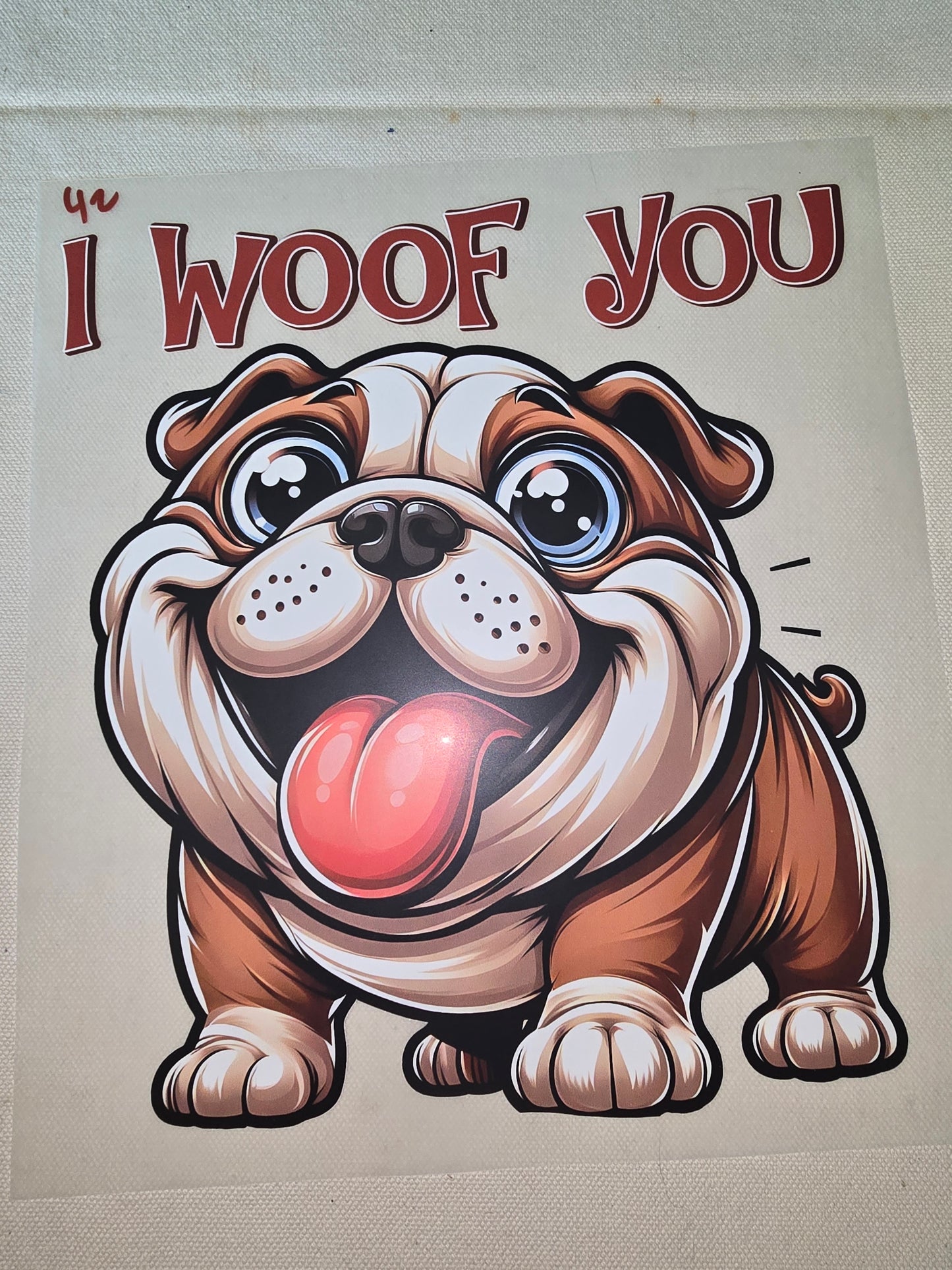 Heat Transfer - Dogs, Cats