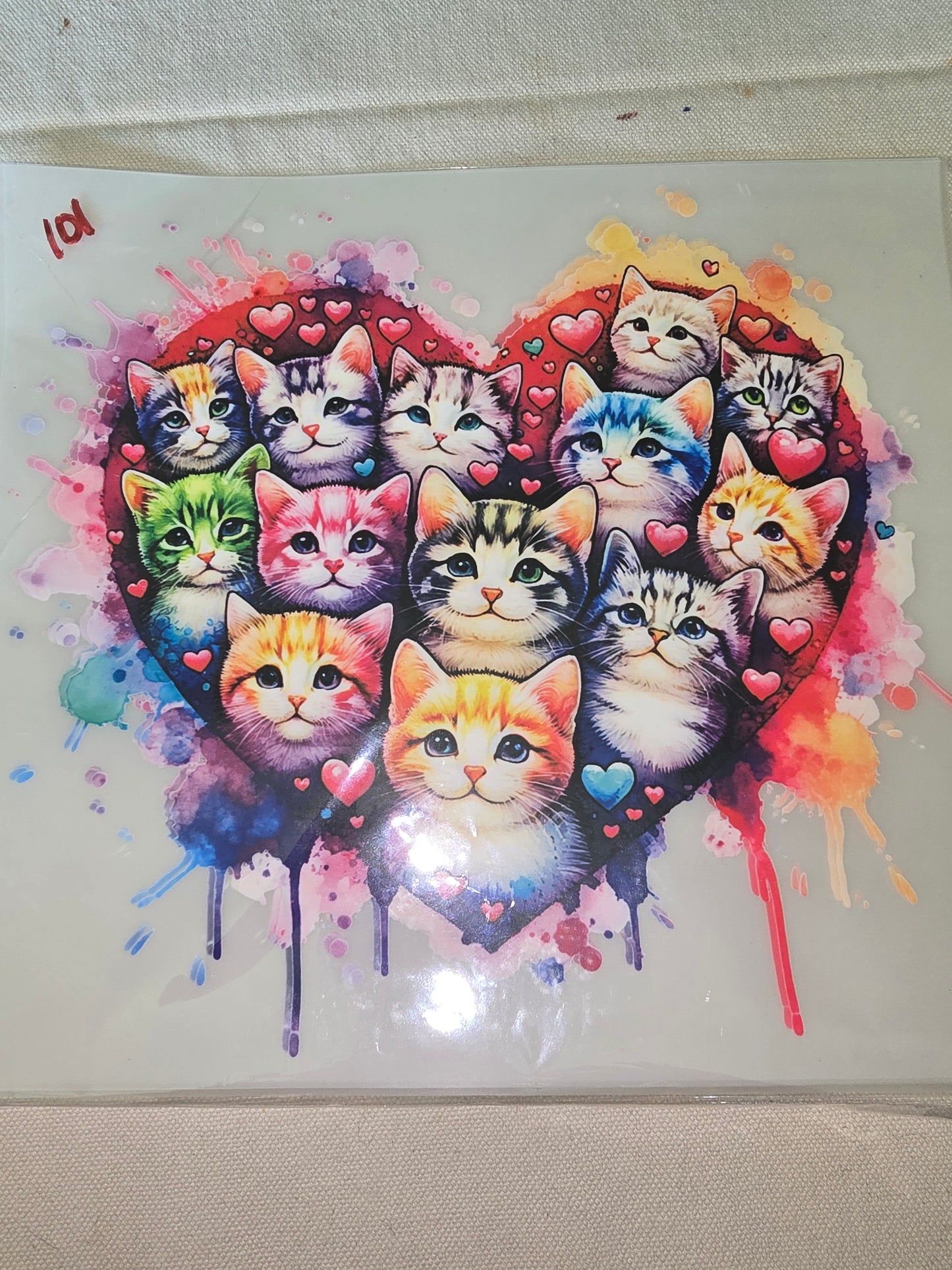 Heat Transfer - Dogs, Cats