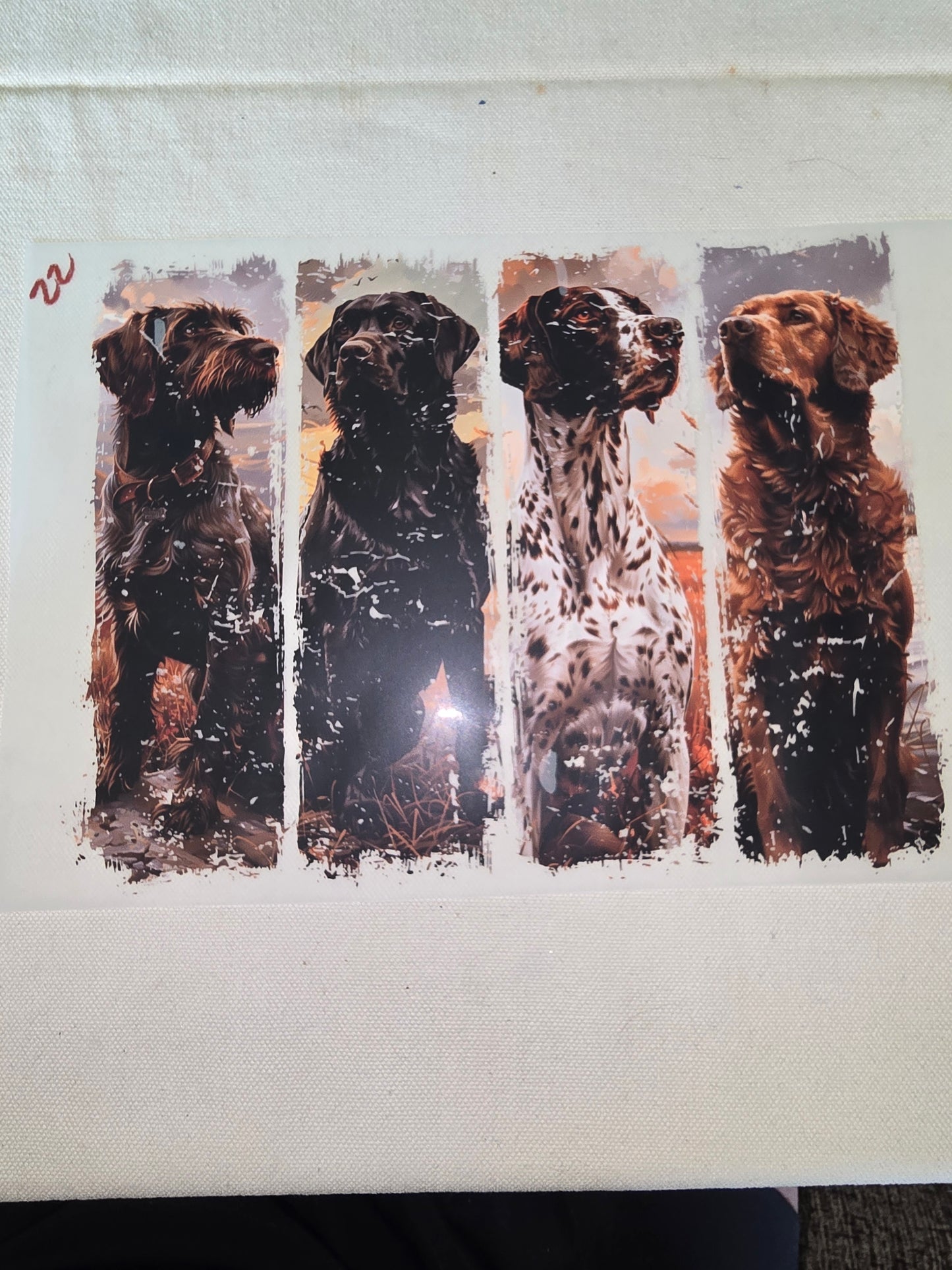 Heat Transfer - Dogs, Cats