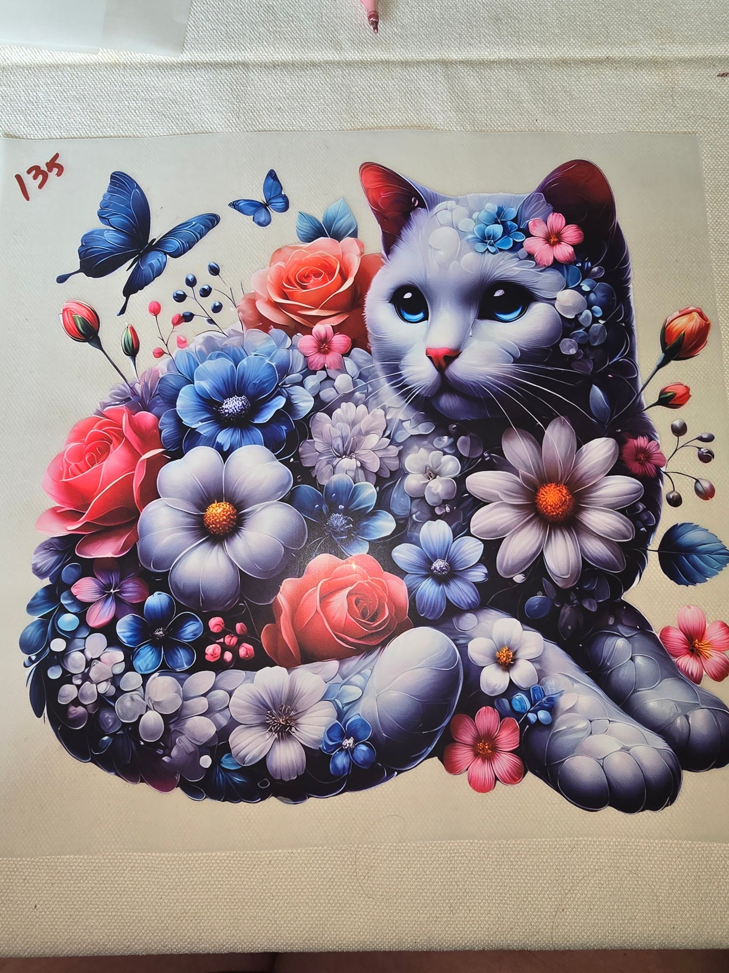 Heat Transfer - Dogs, Cats