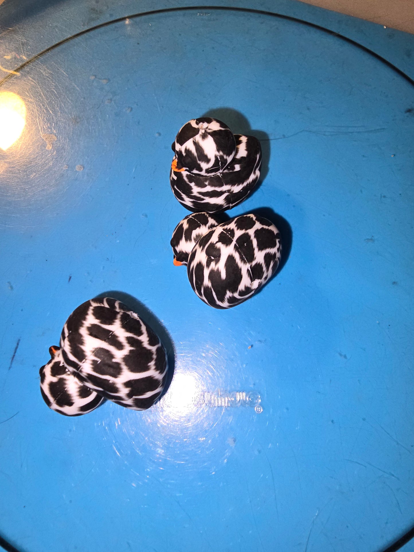 Silicone Focals Animals
