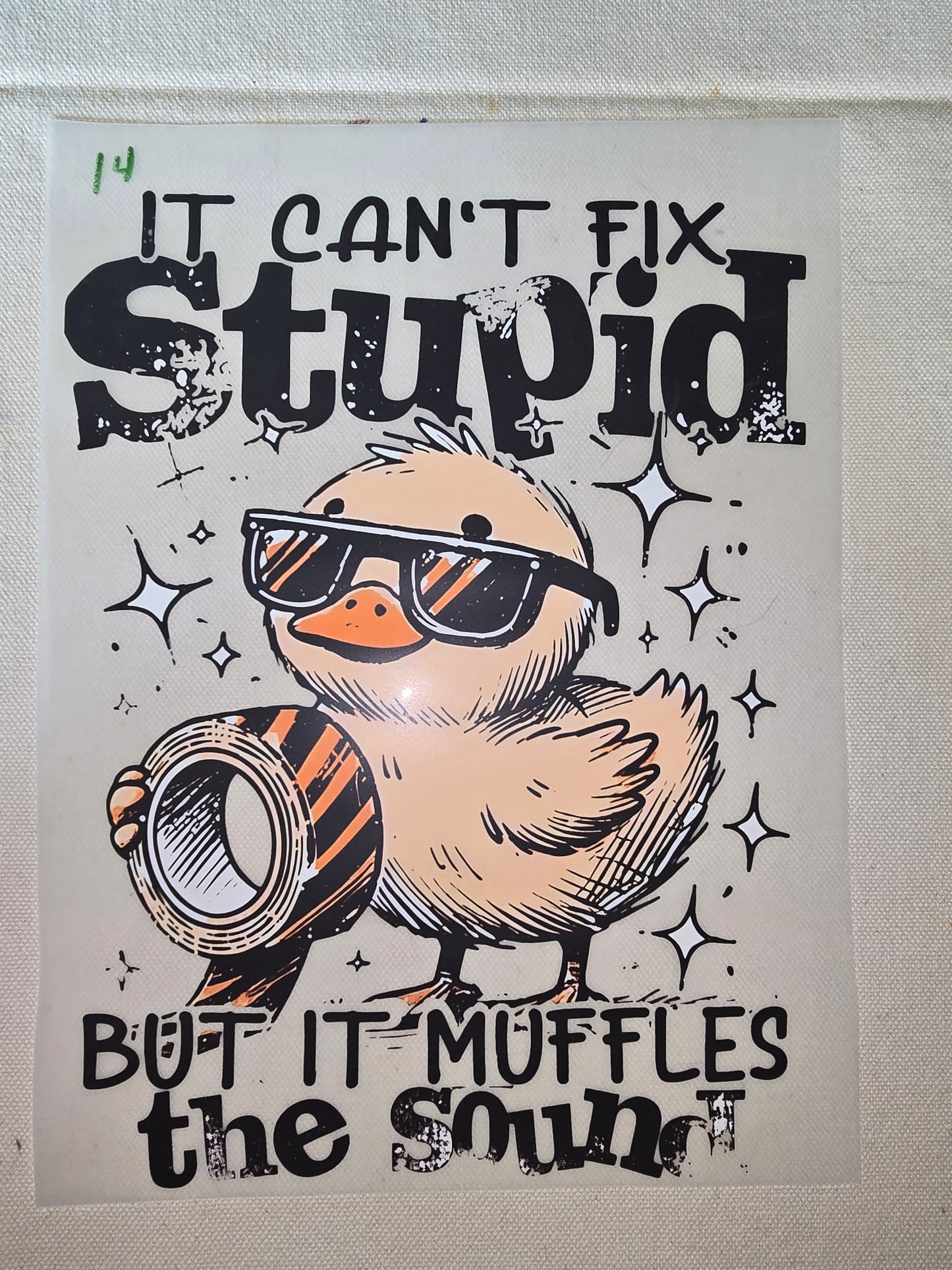 Heat Transfer - Chicken and other feathered friends