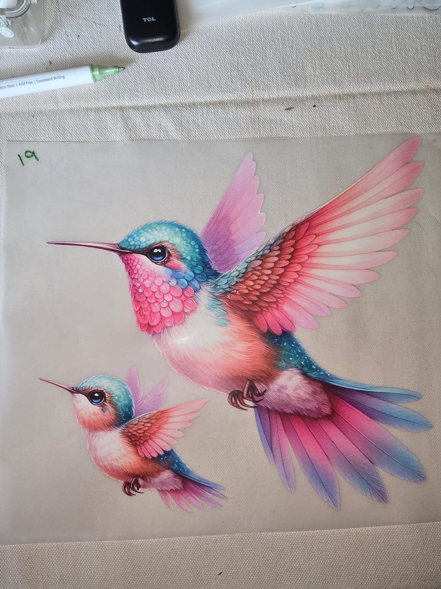 Heat Transfer - Chicken and other feathered friends