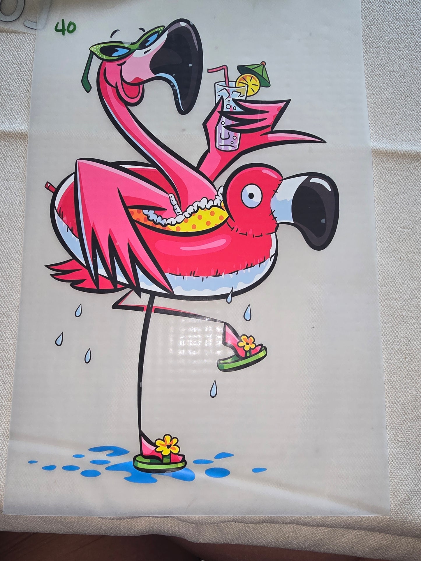 Heat Transfer - Chicken and other feathered friends