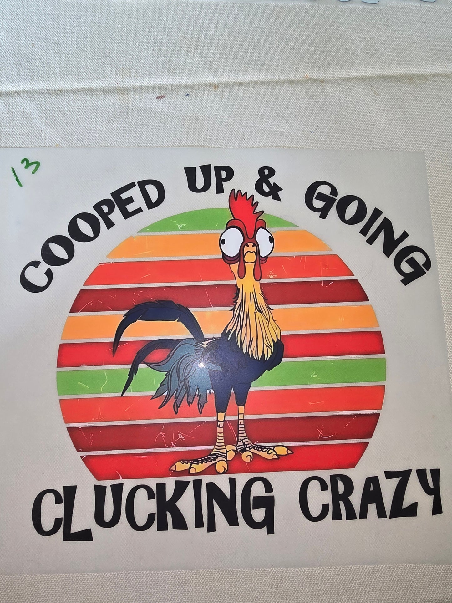 Heat Transfer - Chicken and other feathered friends