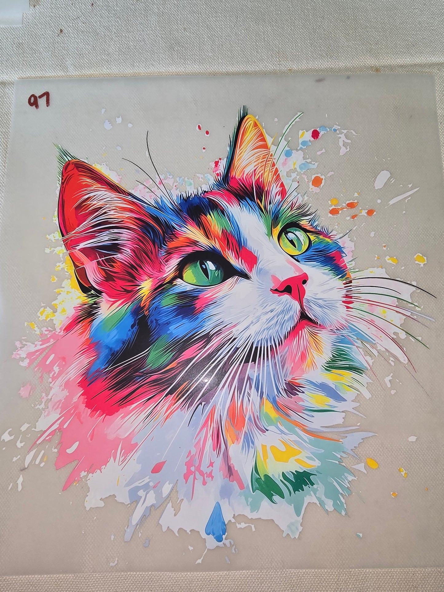 Heat Transfer - Dogs, Cats
