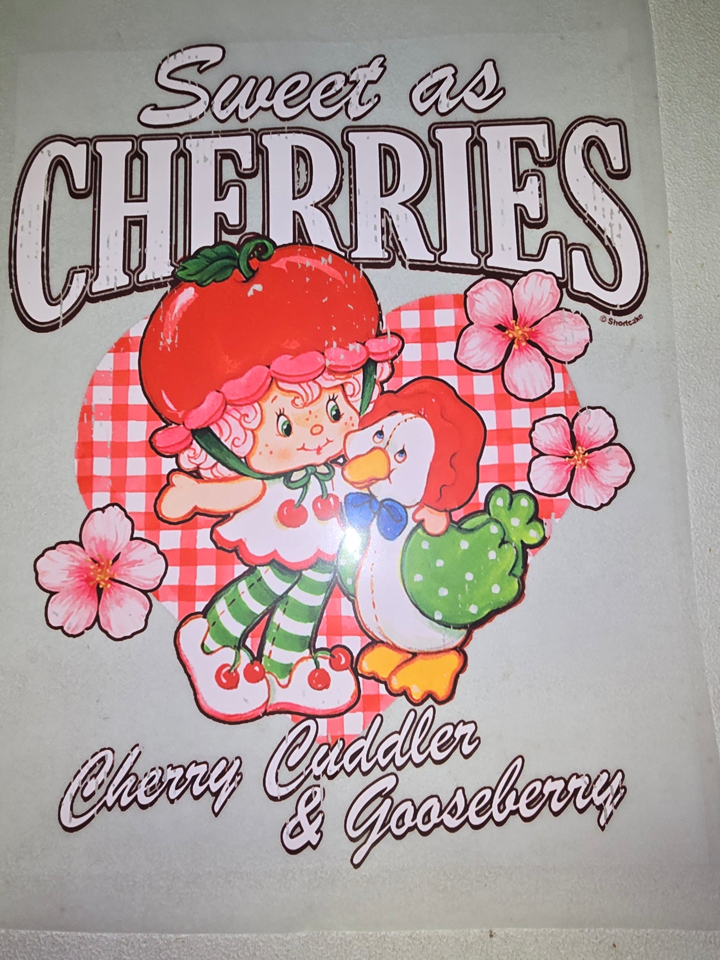 Heat Transfer - Rainbow Brite, Strawberry Shortcake, Care Bears, Smurfs