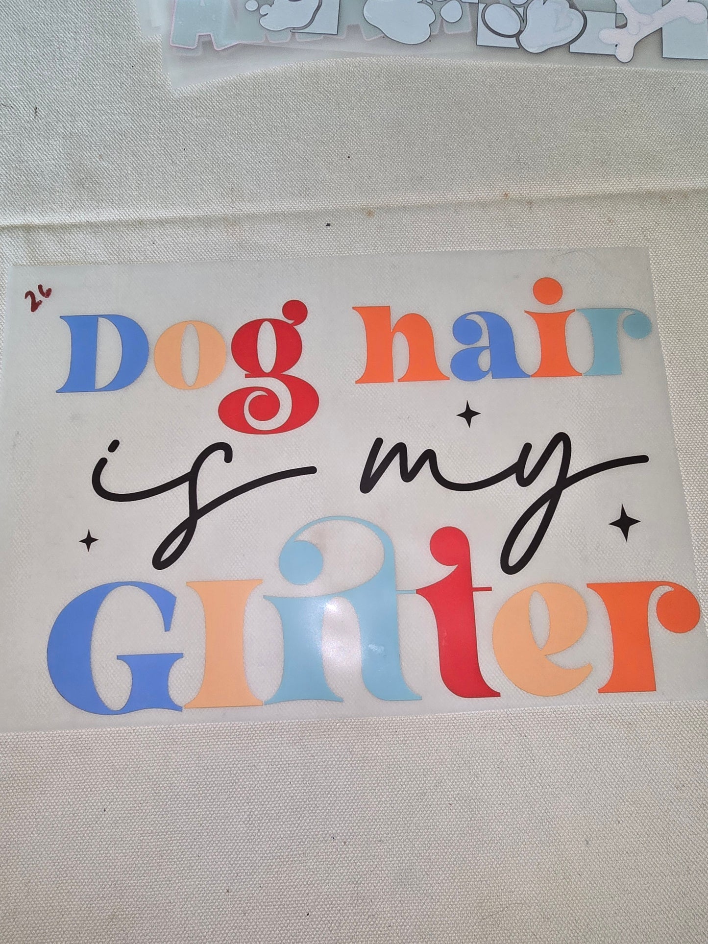 Heat Transfer - Dogs, Cats