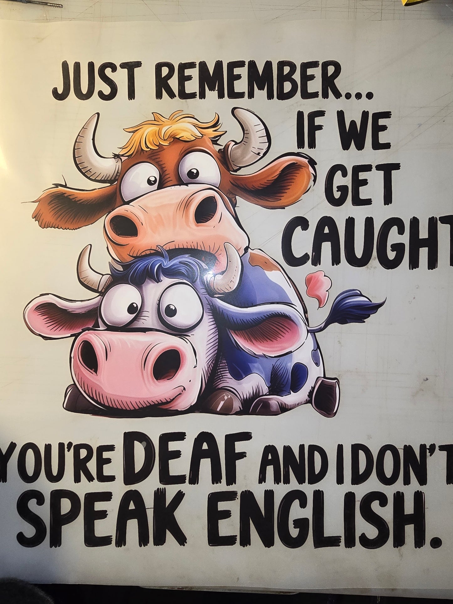 Heat Transfer - Cows, Horses