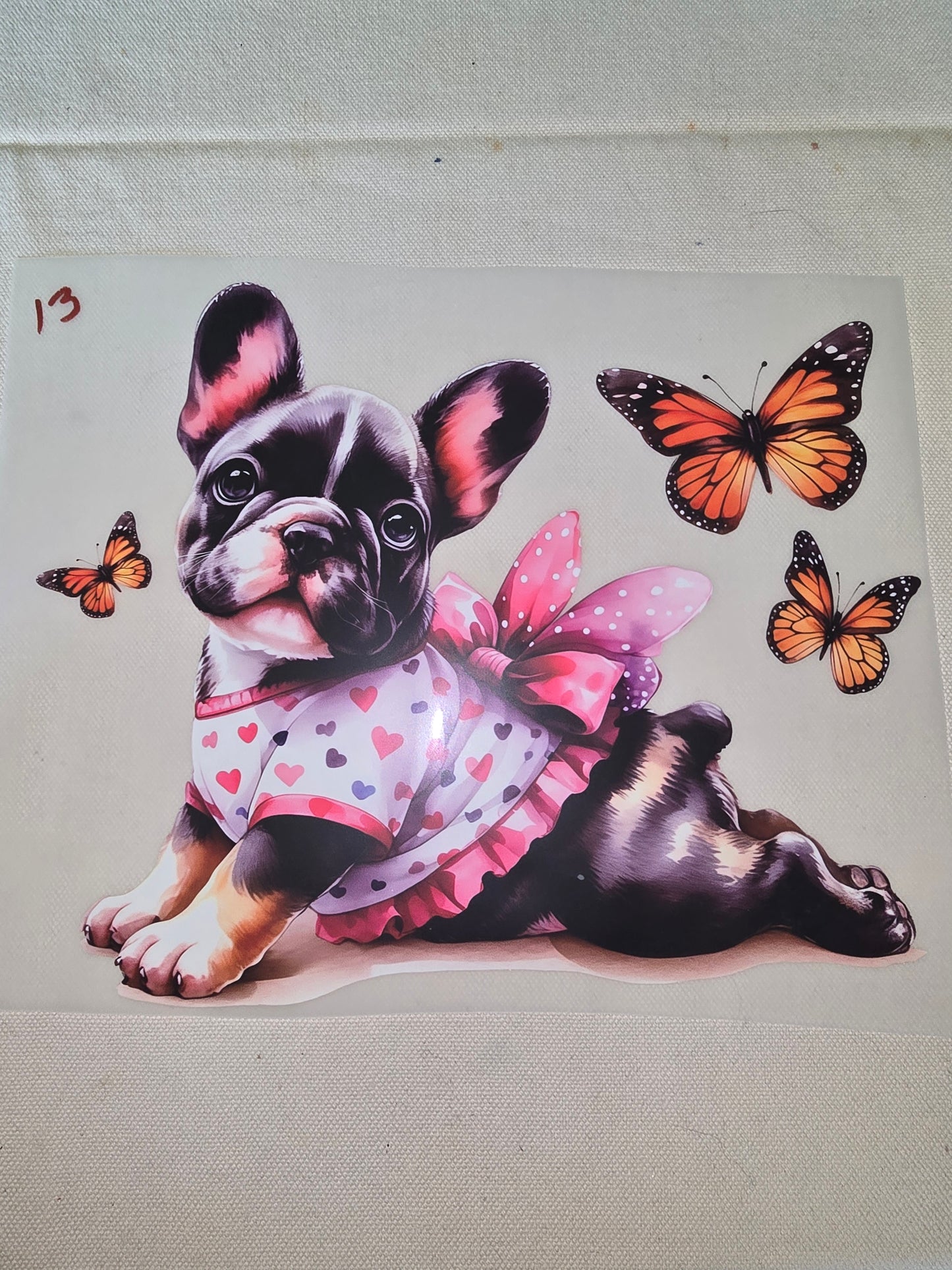 Heat Transfer - Dogs, Cats