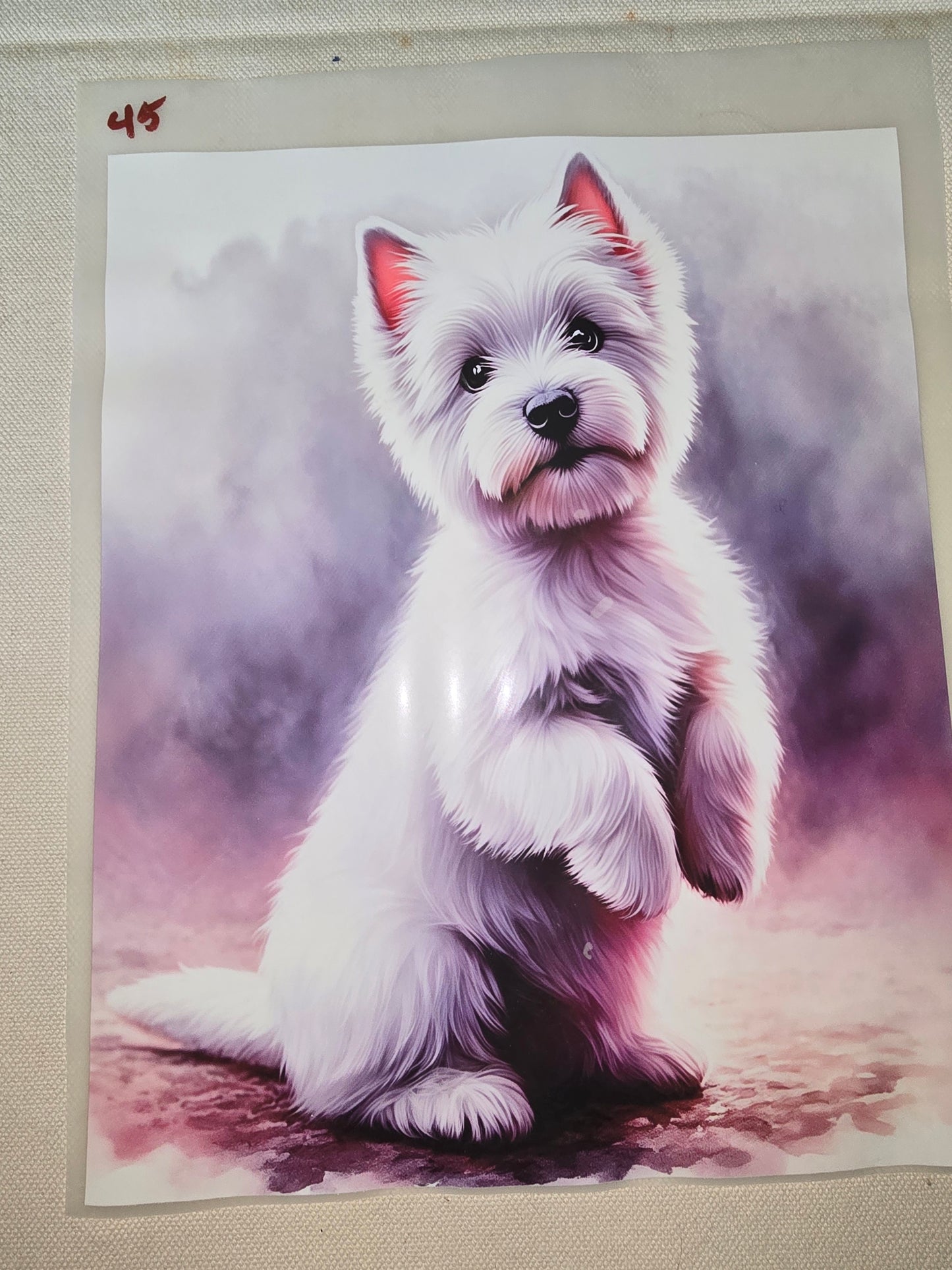 Heat Transfer - Dogs, Cats