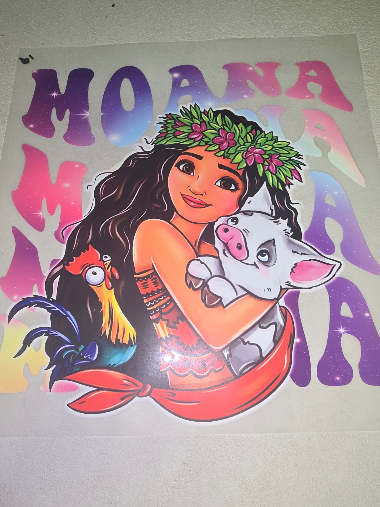 Heat Transfer - Disney