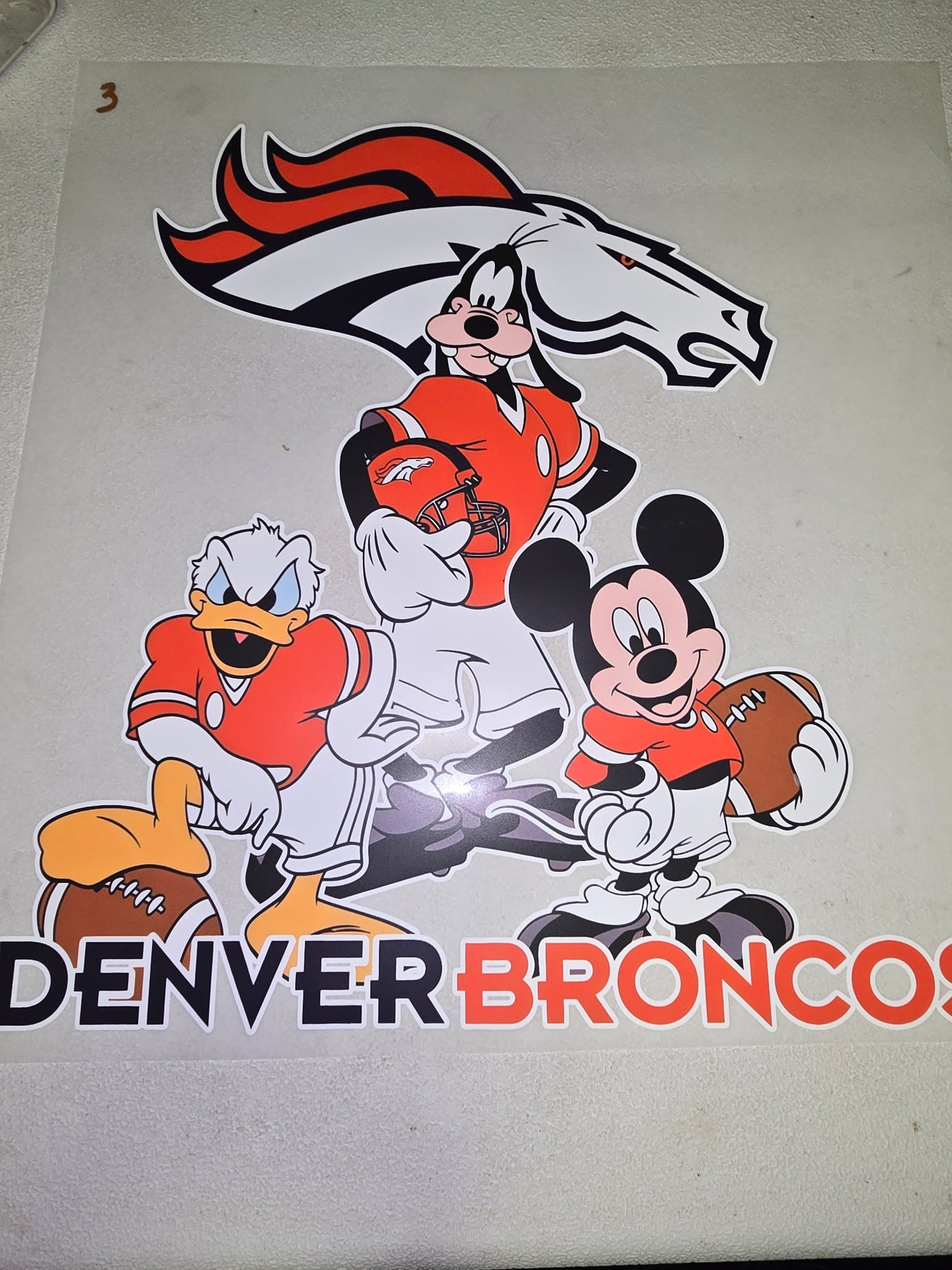 Heat Transfers - Denver, Panthers