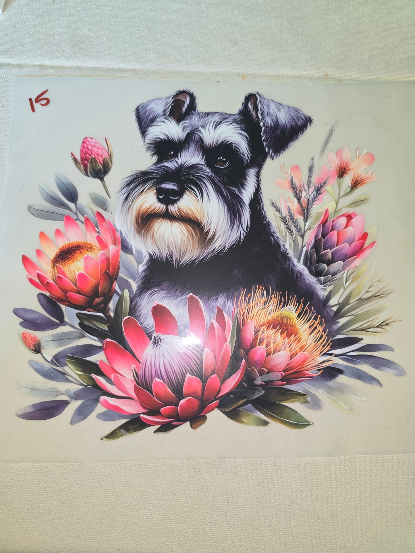Heat Transfer - Dogs, Cats