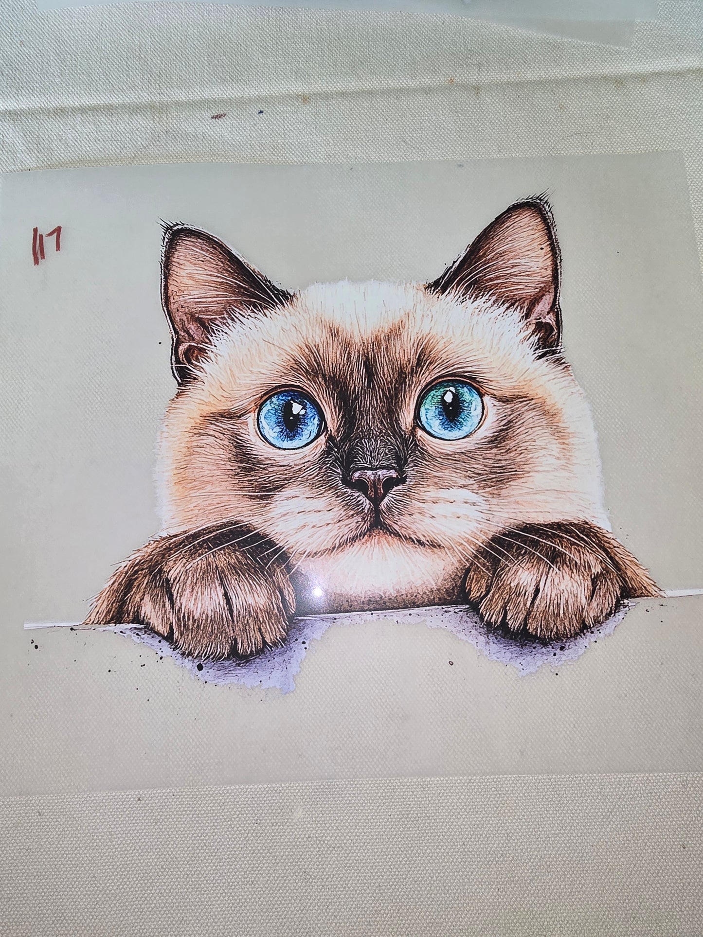 Heat Transfer - Dogs, Cats