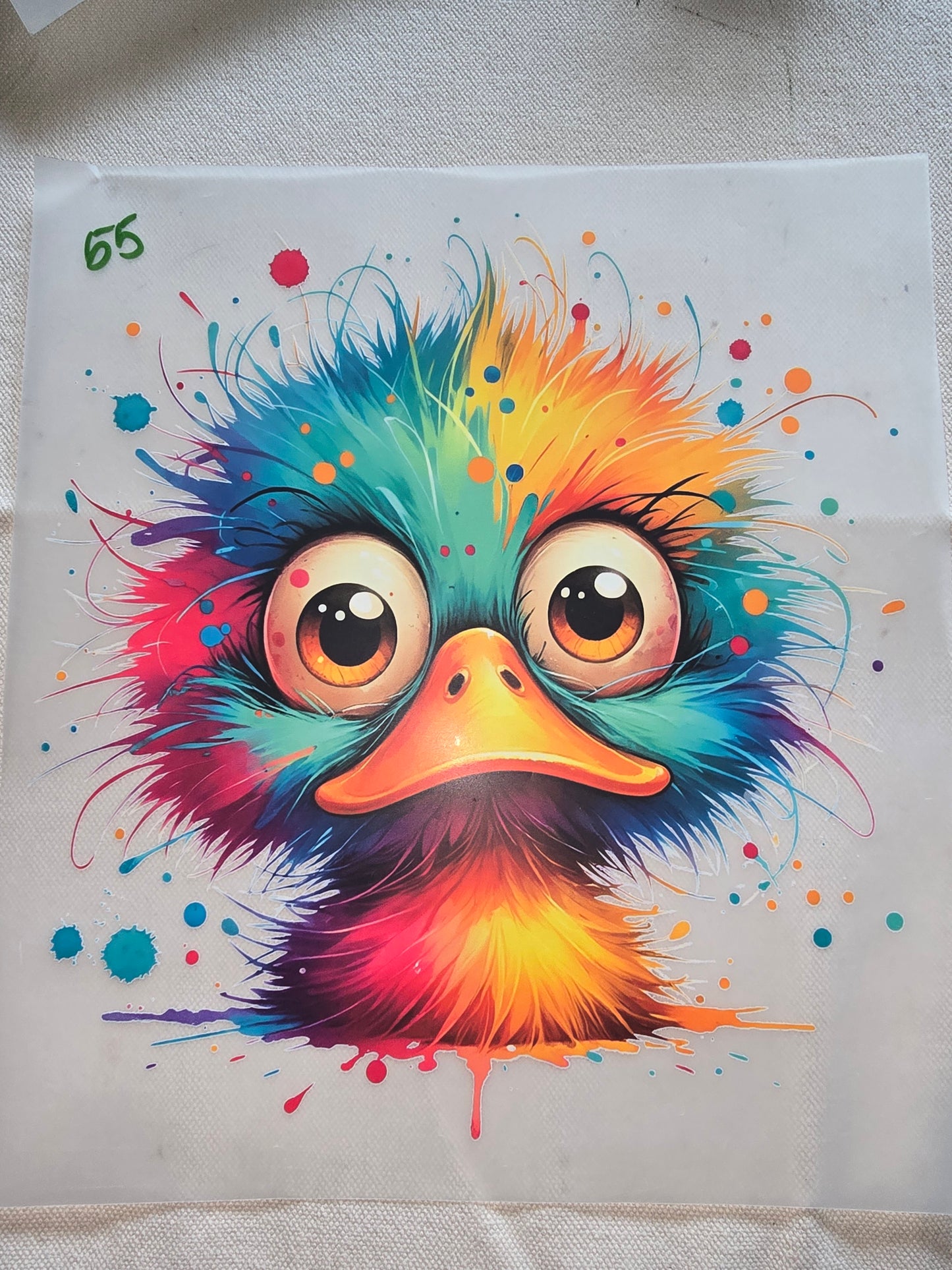 Heat Transfer - Chicken and other feathered friends