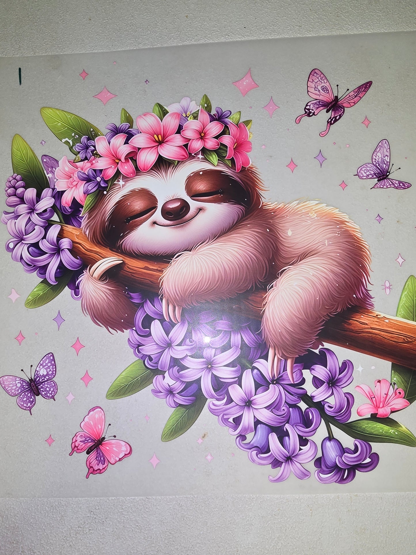 Heat Transfer - Sloths