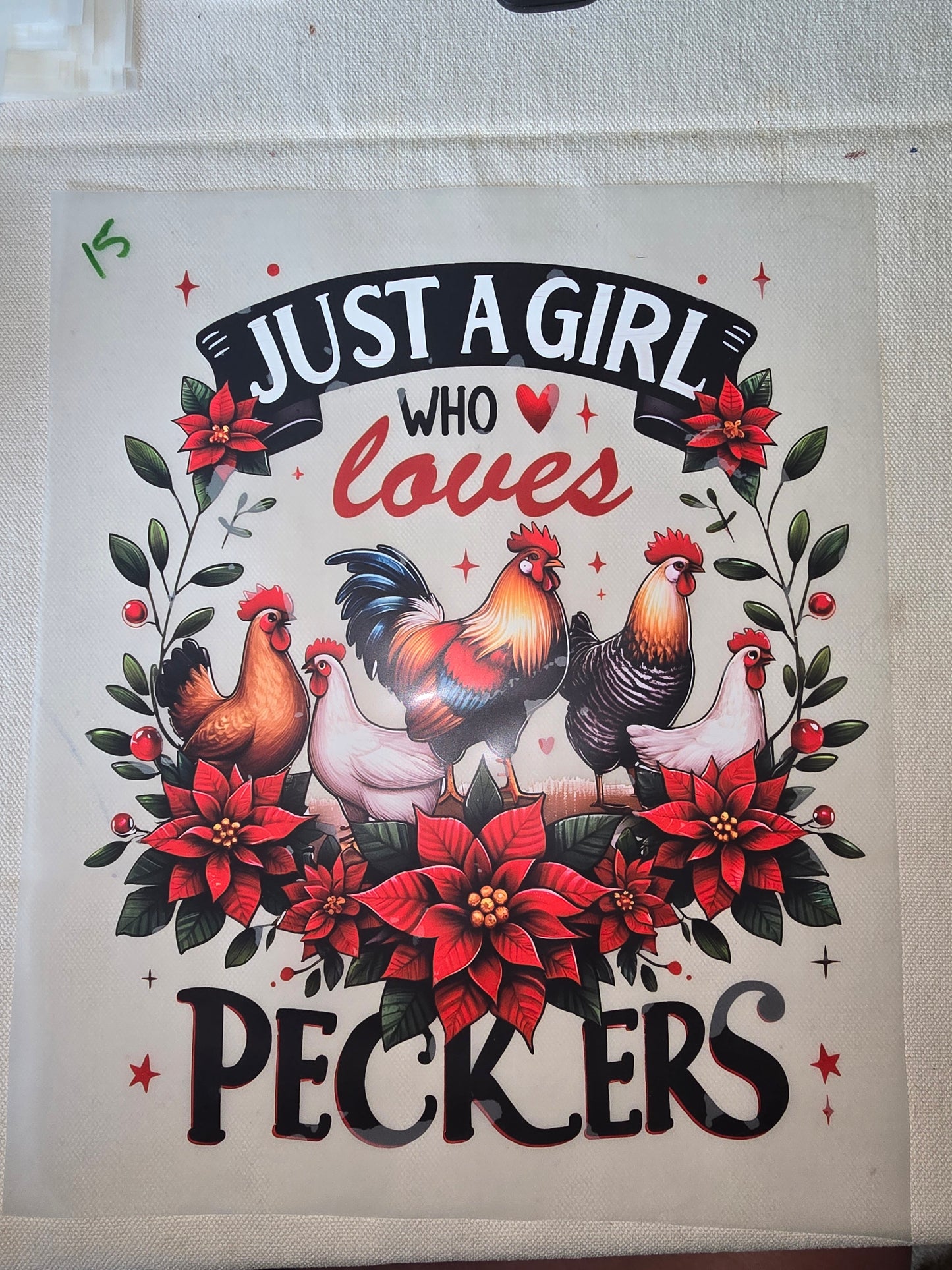 Heat Transfer - Chicken and other feathered friends