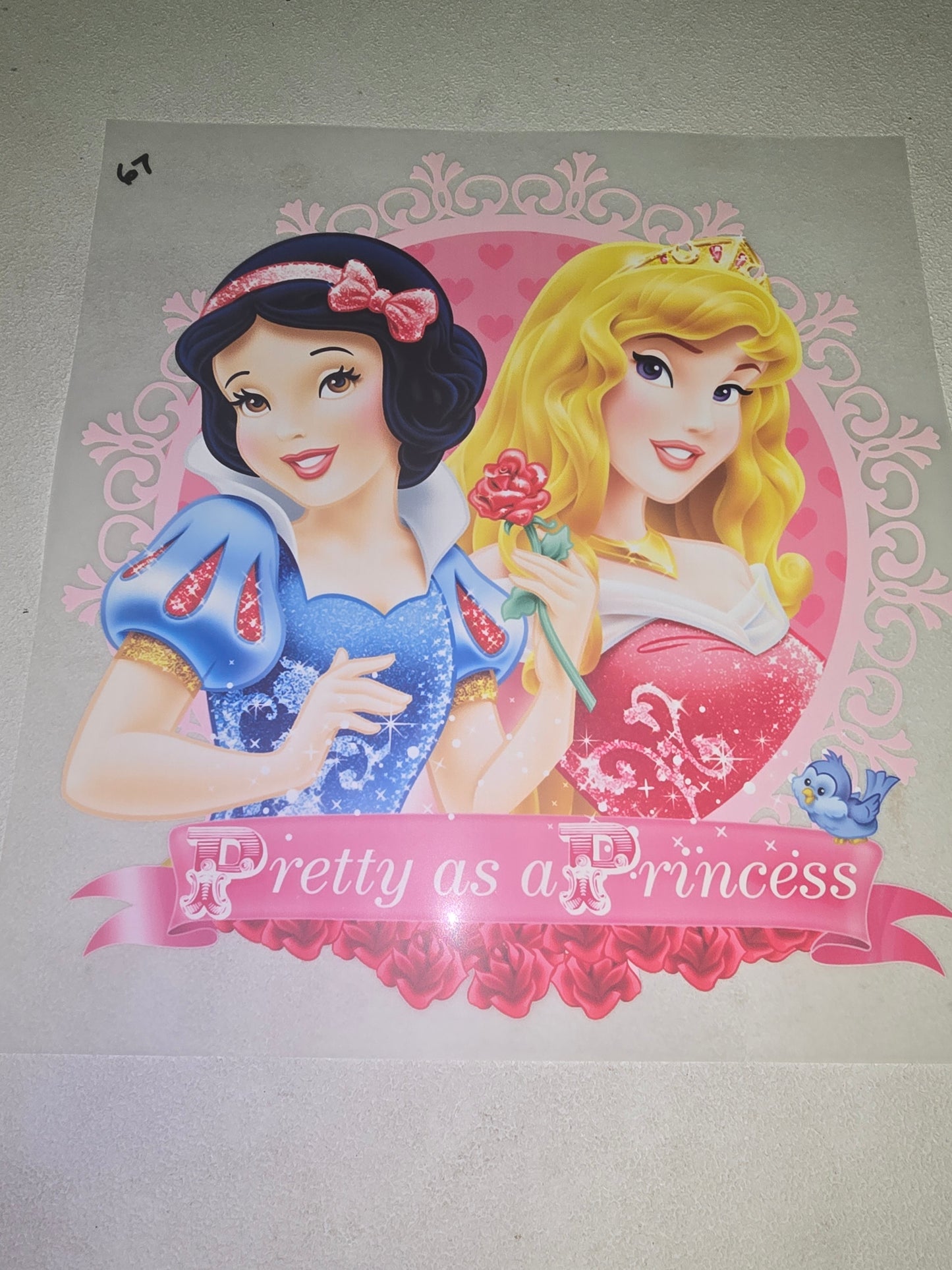 Heat Transfer - Disney