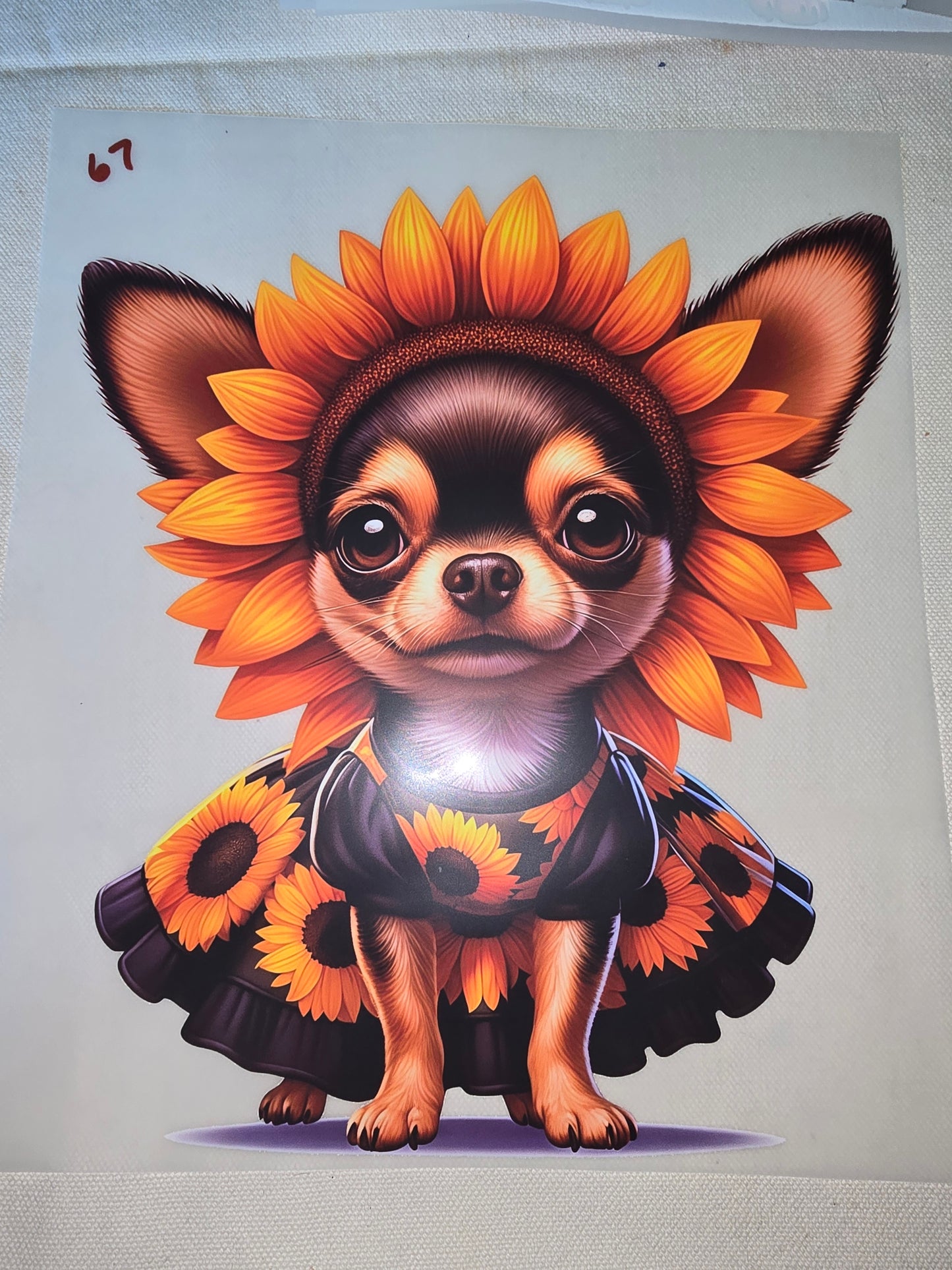 Heat Transfer - Dogs, Cats