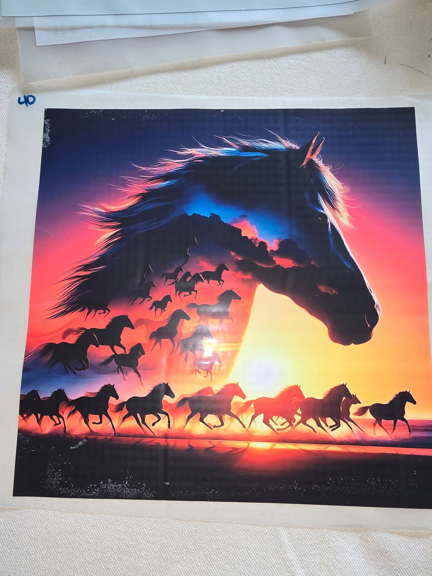 Heat Transfer - Cows, Horses