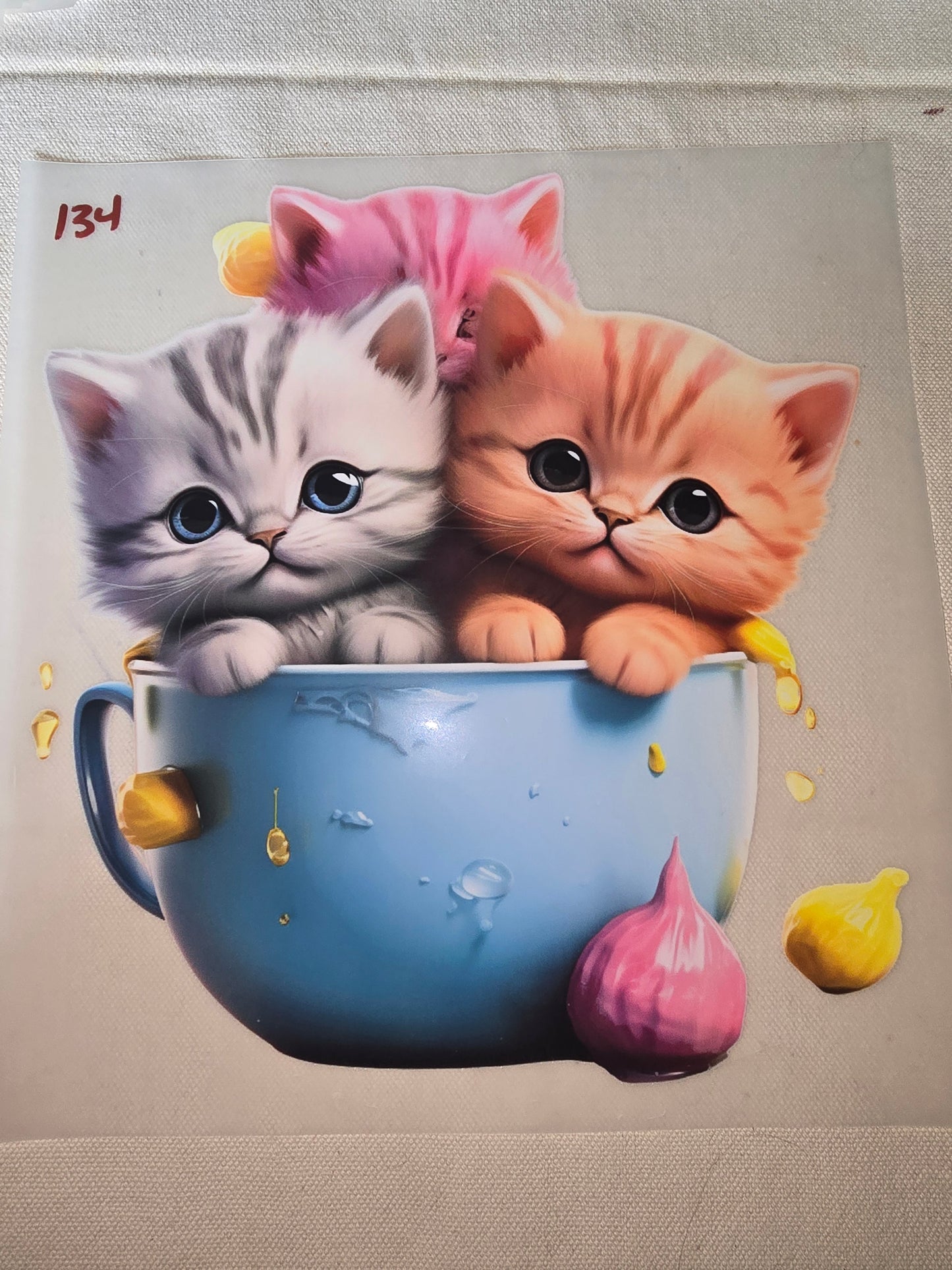 Heat Transfer - Dogs, Cats