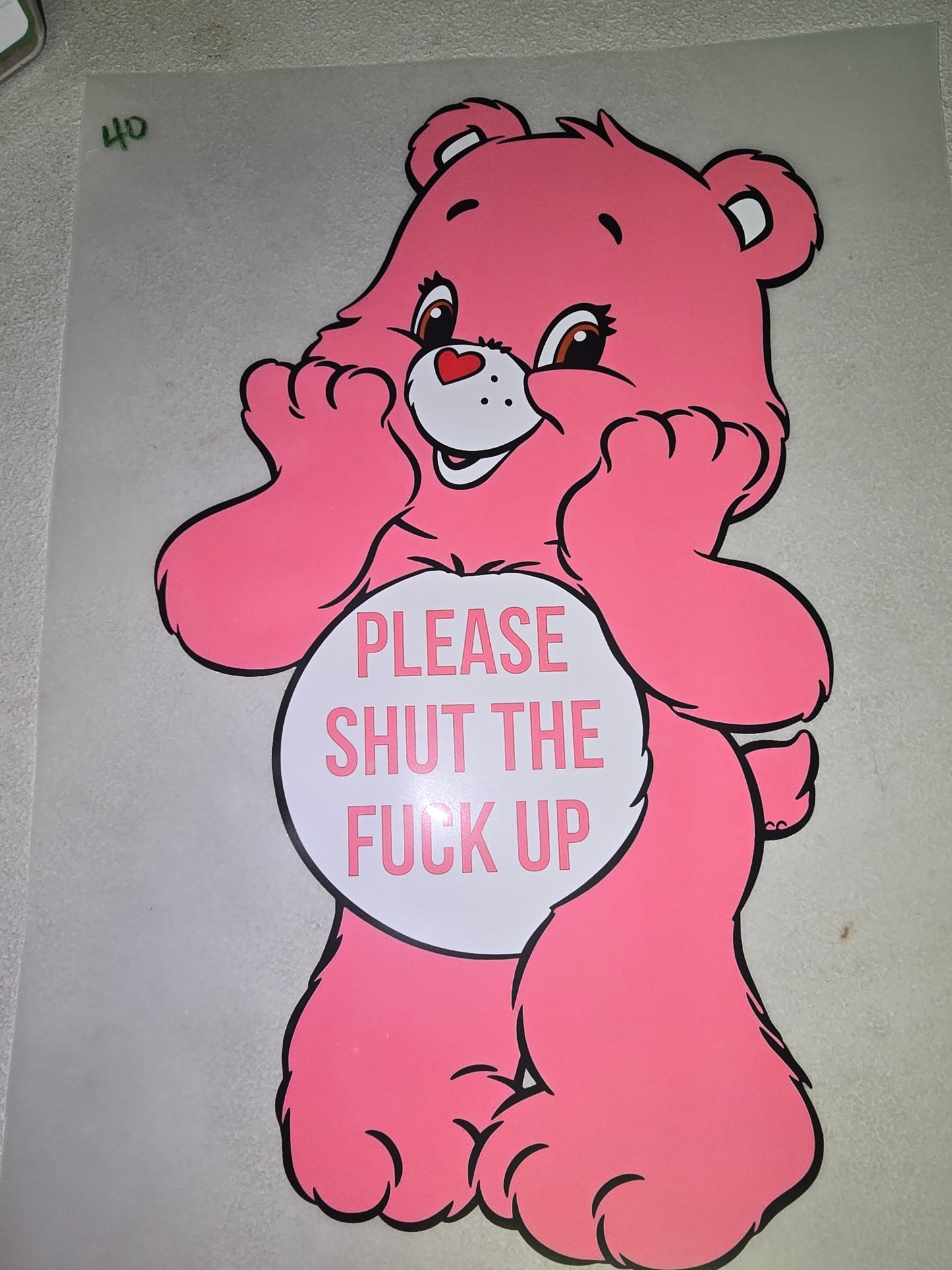 Heat Transfer - Adult Gardening, Swear Bears, Aliens