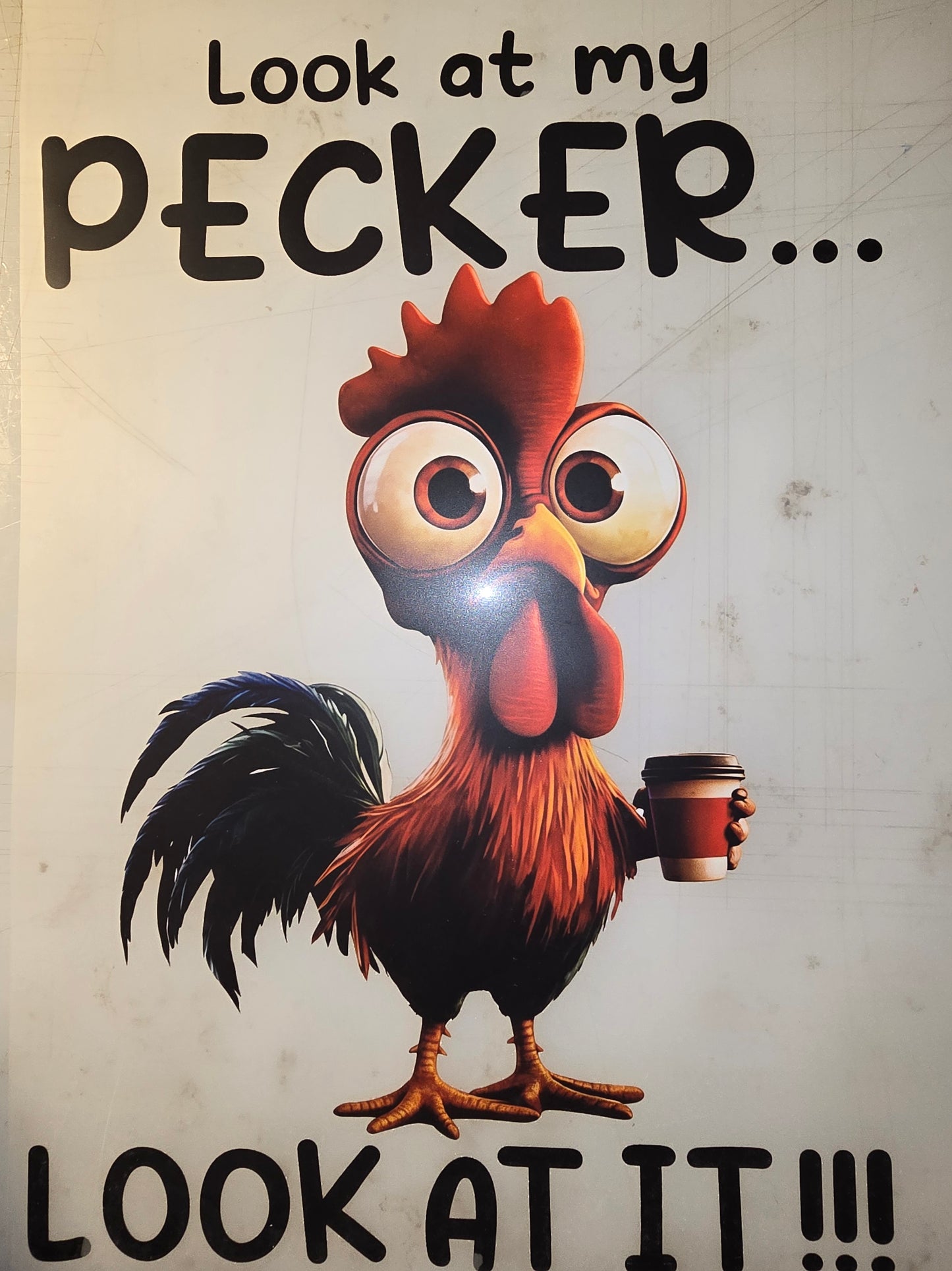 Heat Transfer - Feathered Friends