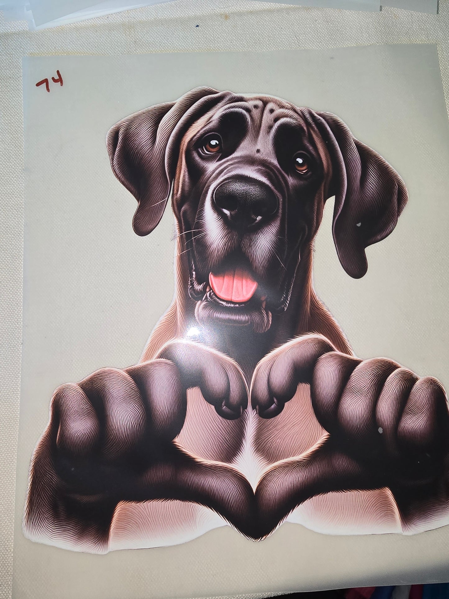 Heat Transfer - Dogs, Cats