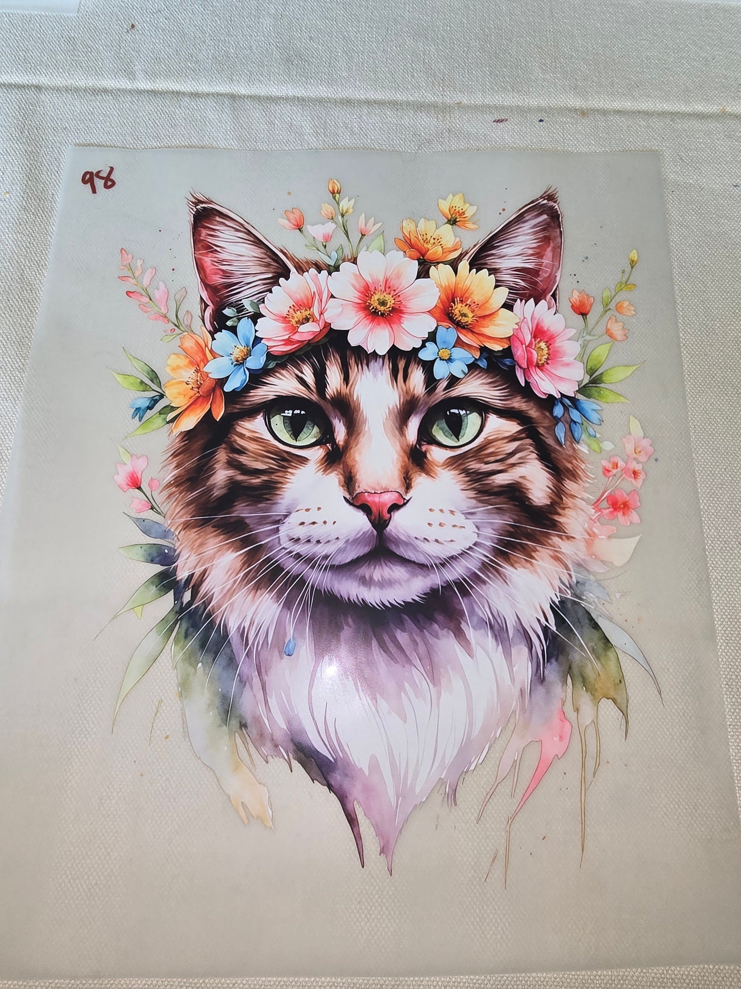 Heat Transfer - Dogs, Cats