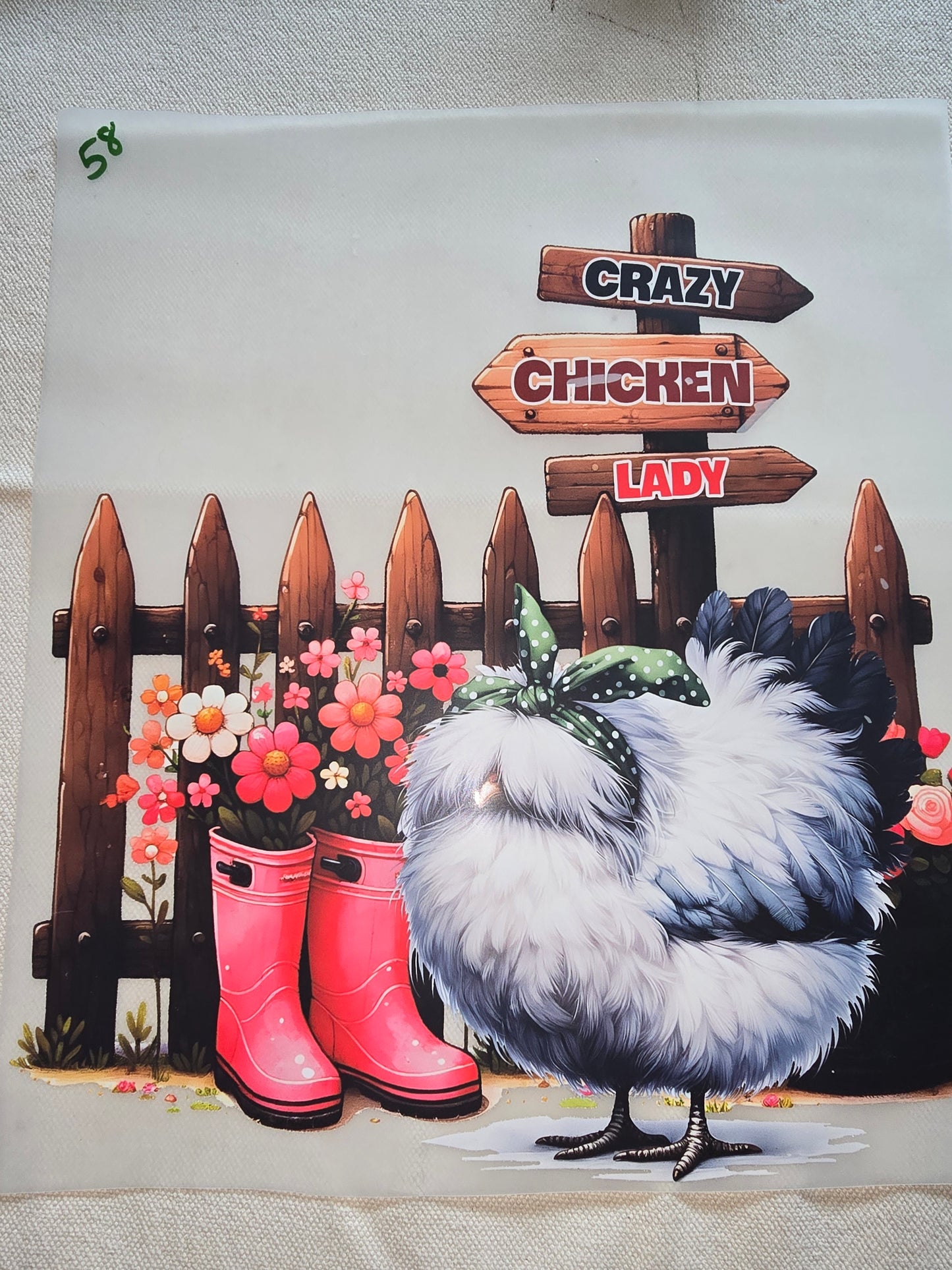 Heat Transfer - Chicken and other feathered friends