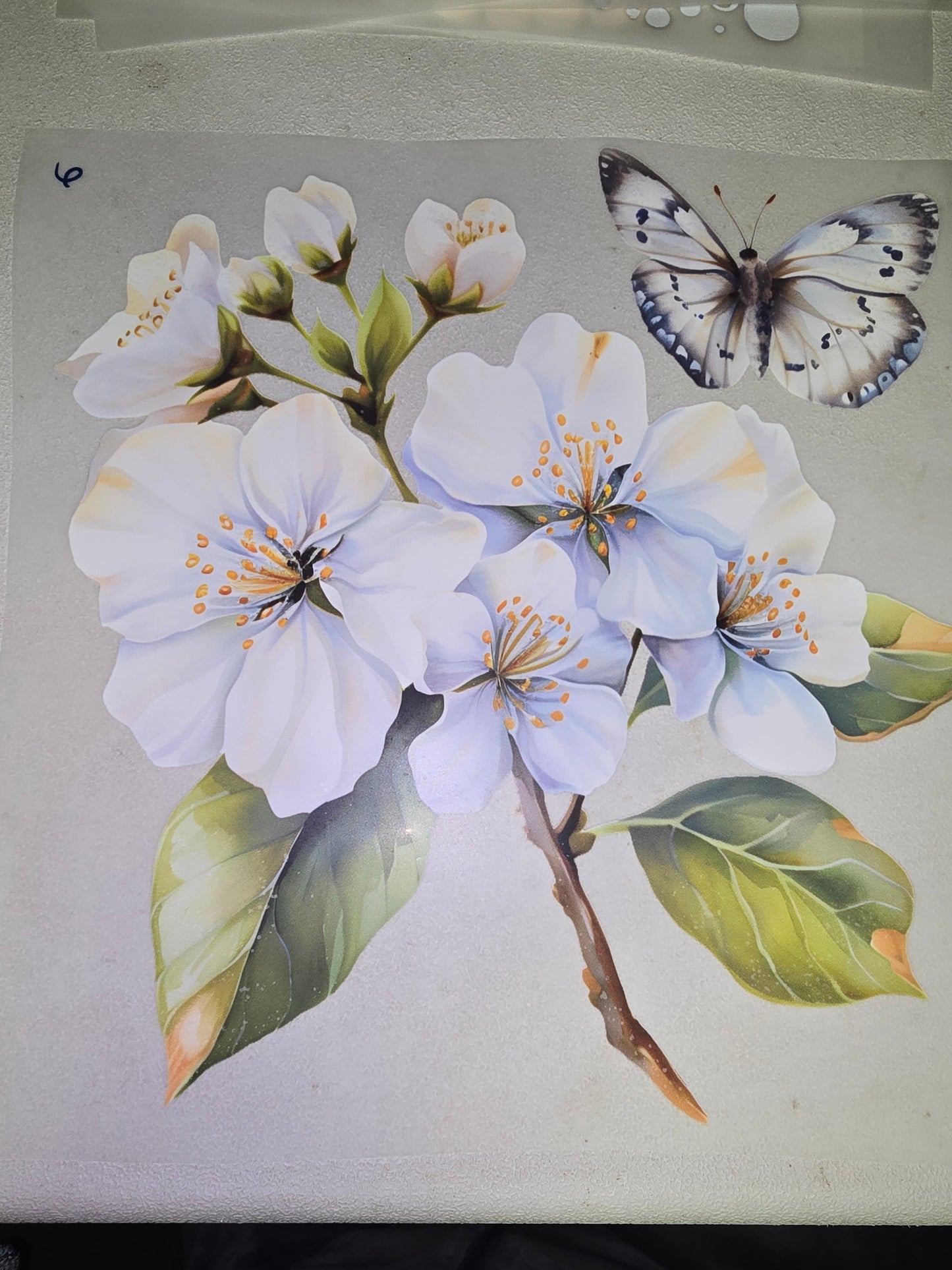 Heat Transfer - Bee, Butterfly, Dragonfly, Moth