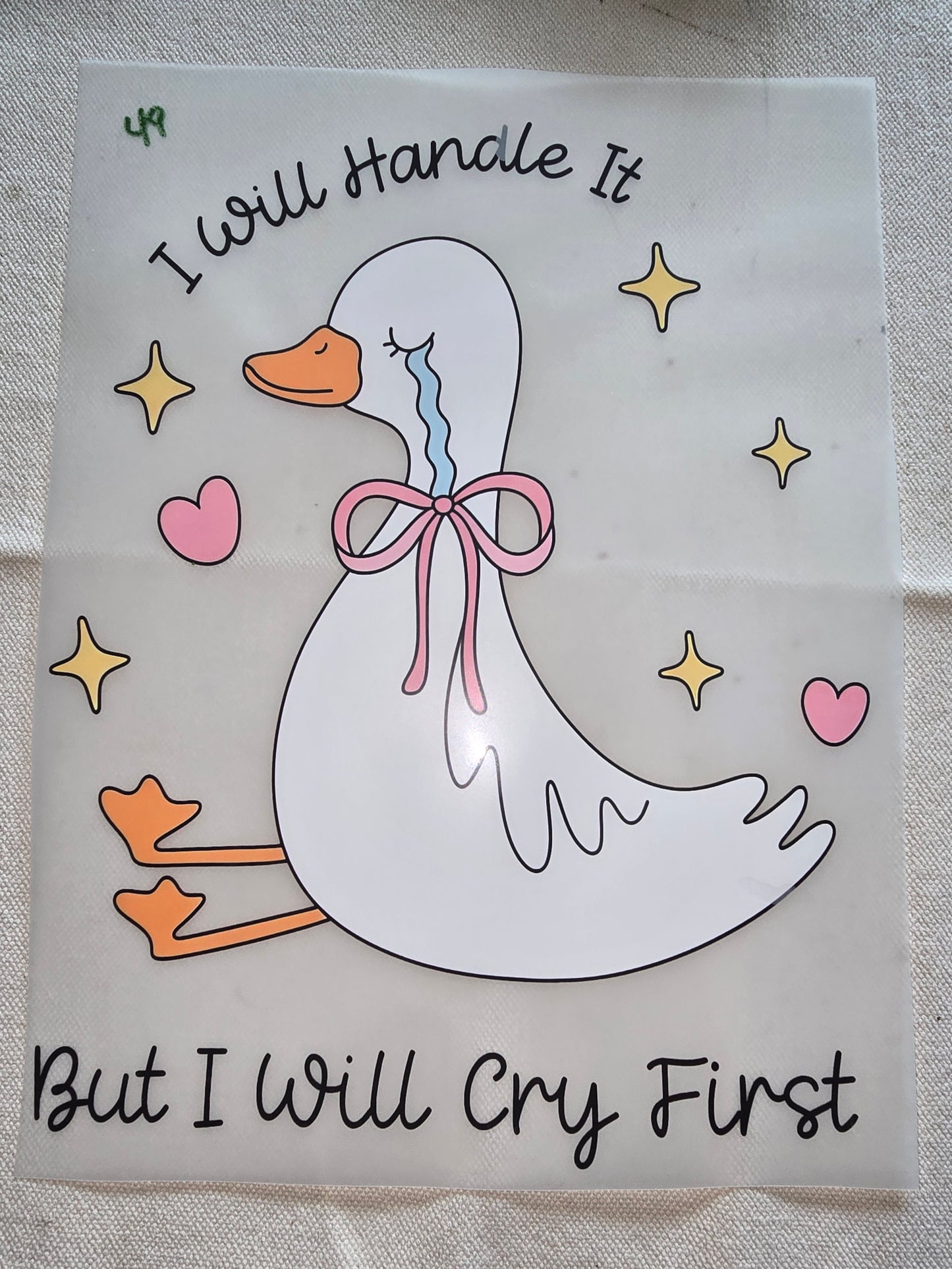 Heat Transfer - Chicken and other feathered friends